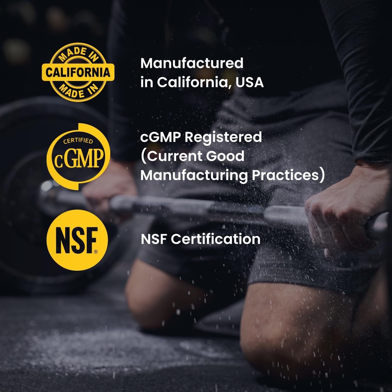 VPLab Ultra Men's Tribulus Terrestris Multivitamin Supplement - Boosts Testosterone & Immune System, 90 Capsules