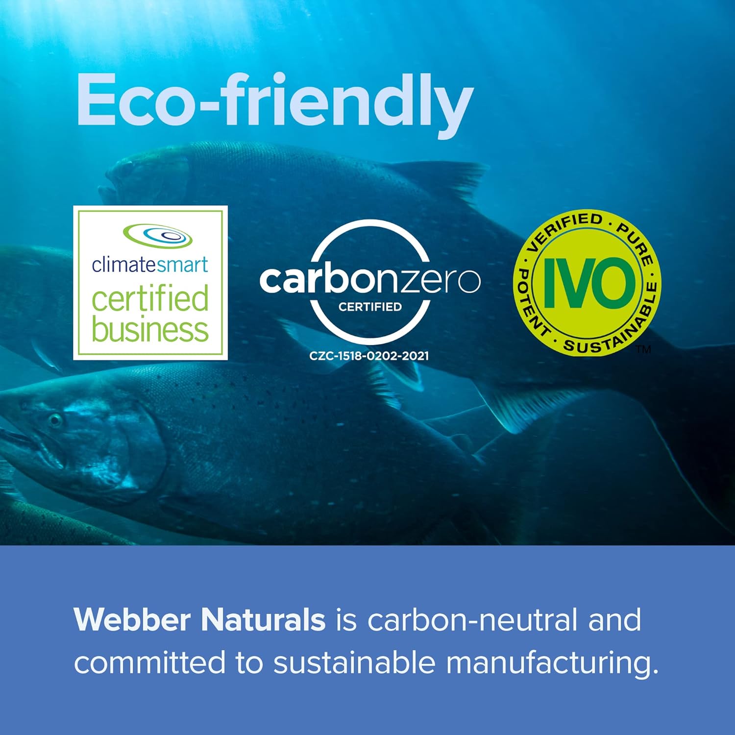 Webber Naturals Fish Oil Softgels - 210 Pills, 1,000mg with 300mg Omega-3 for Heart, Brain, Cardiovascular Health - Non-GMO, Gluten Free