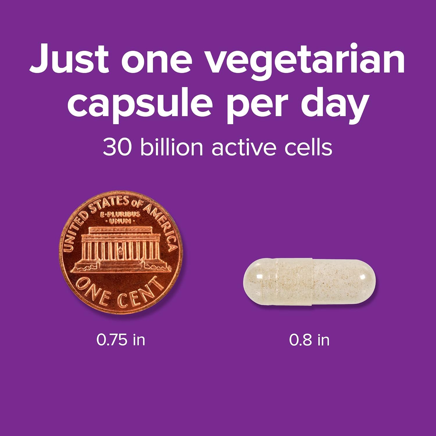 Webber Naturals High Potency Probiotics 30 Billion CFU for Men, Women & Adults - Shelf Stable, 8 Strains, 30 Veg Capsules