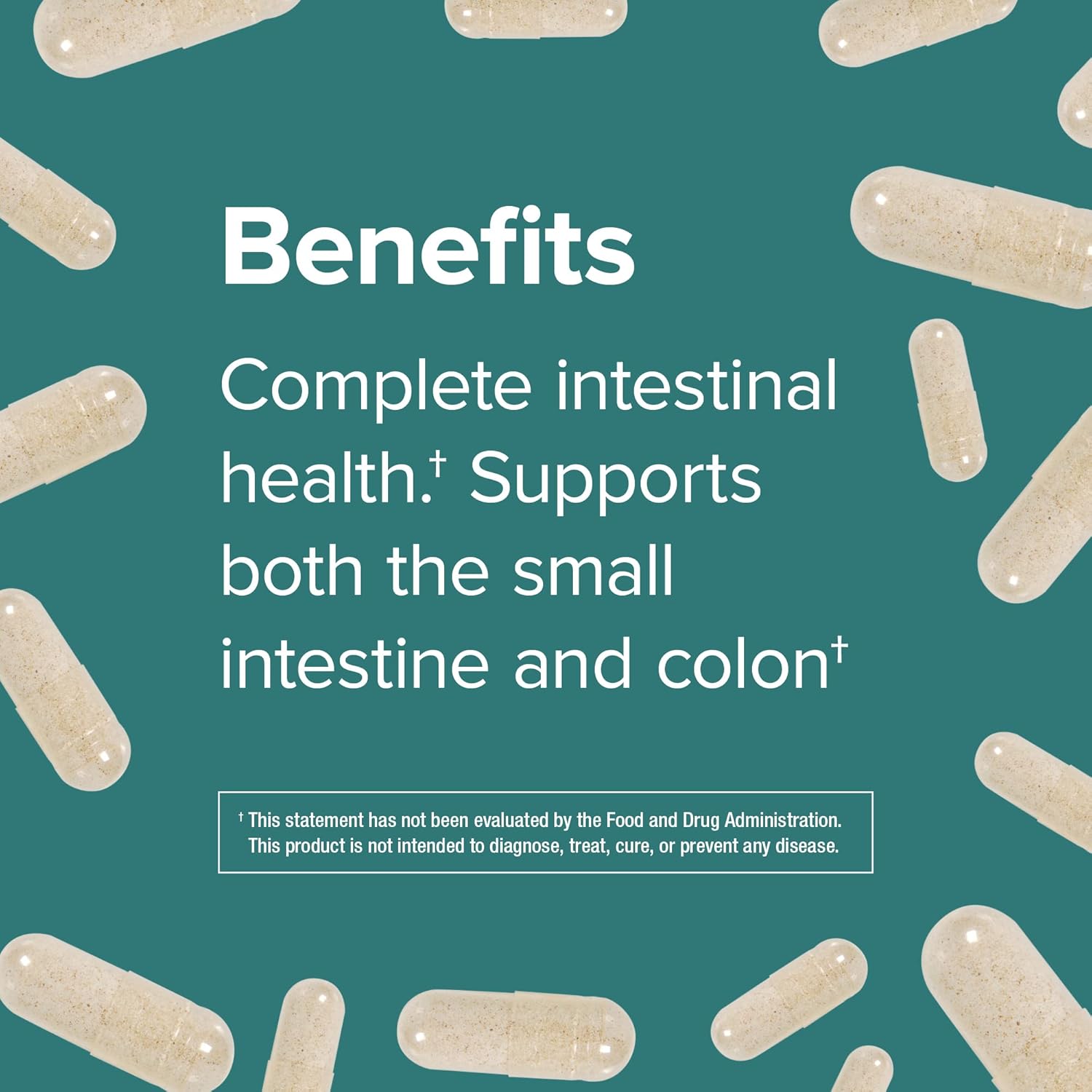 Webber Naturals High Potency Probiotics 30 Billion CFU for Men, Women & Adults - Shelf Stable, 8 Strains, 30 Veg Capsules