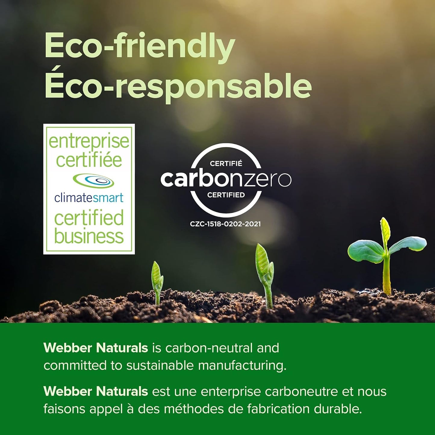 Webber Naturals Vitamin B12 1200mcg Timed Release Tablets - 80 Count