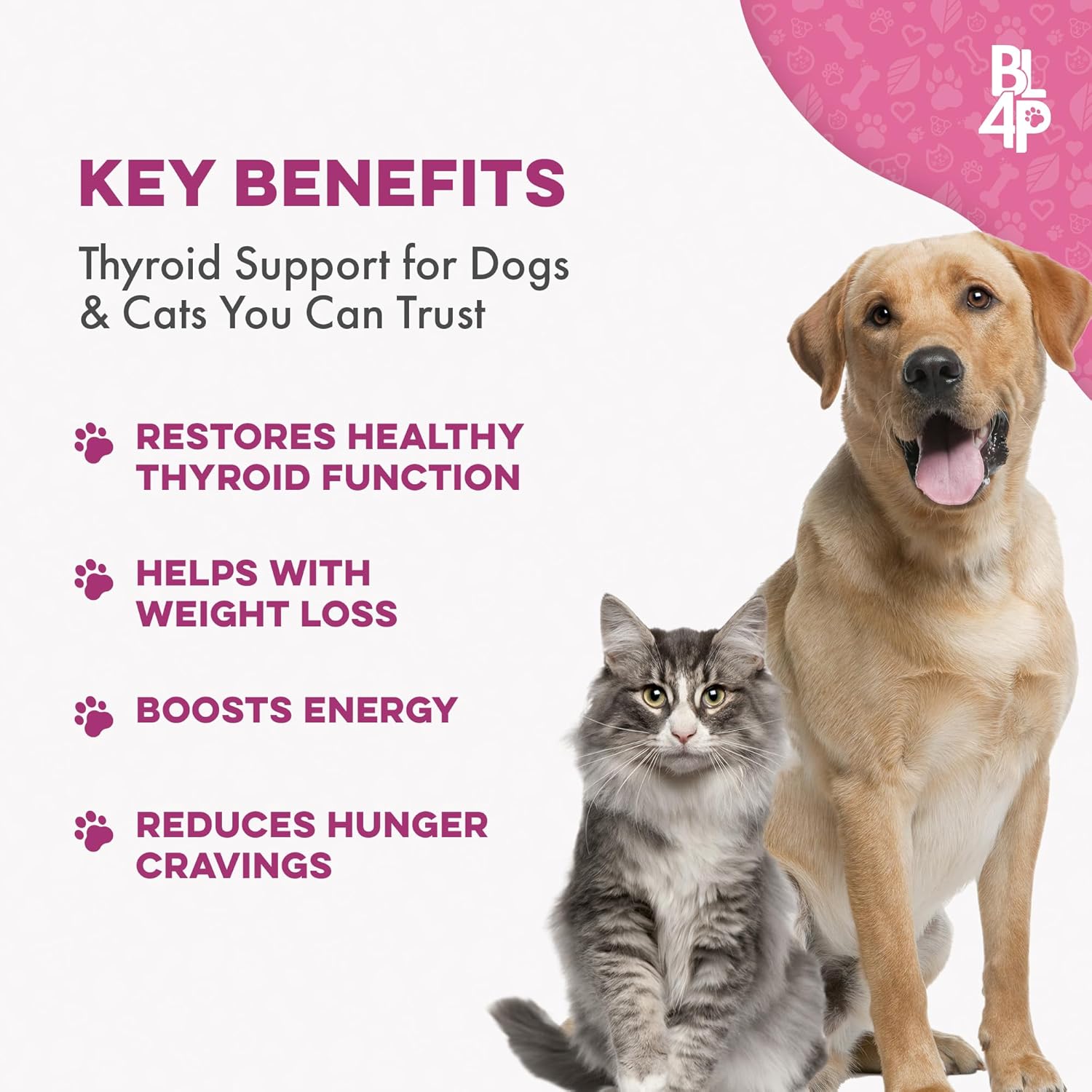 Weight & Thyroid Support for Dogs and Cats - Natural Hunger Control & Metabolism Aid, Optimal Thyroid Function, 400 Pills