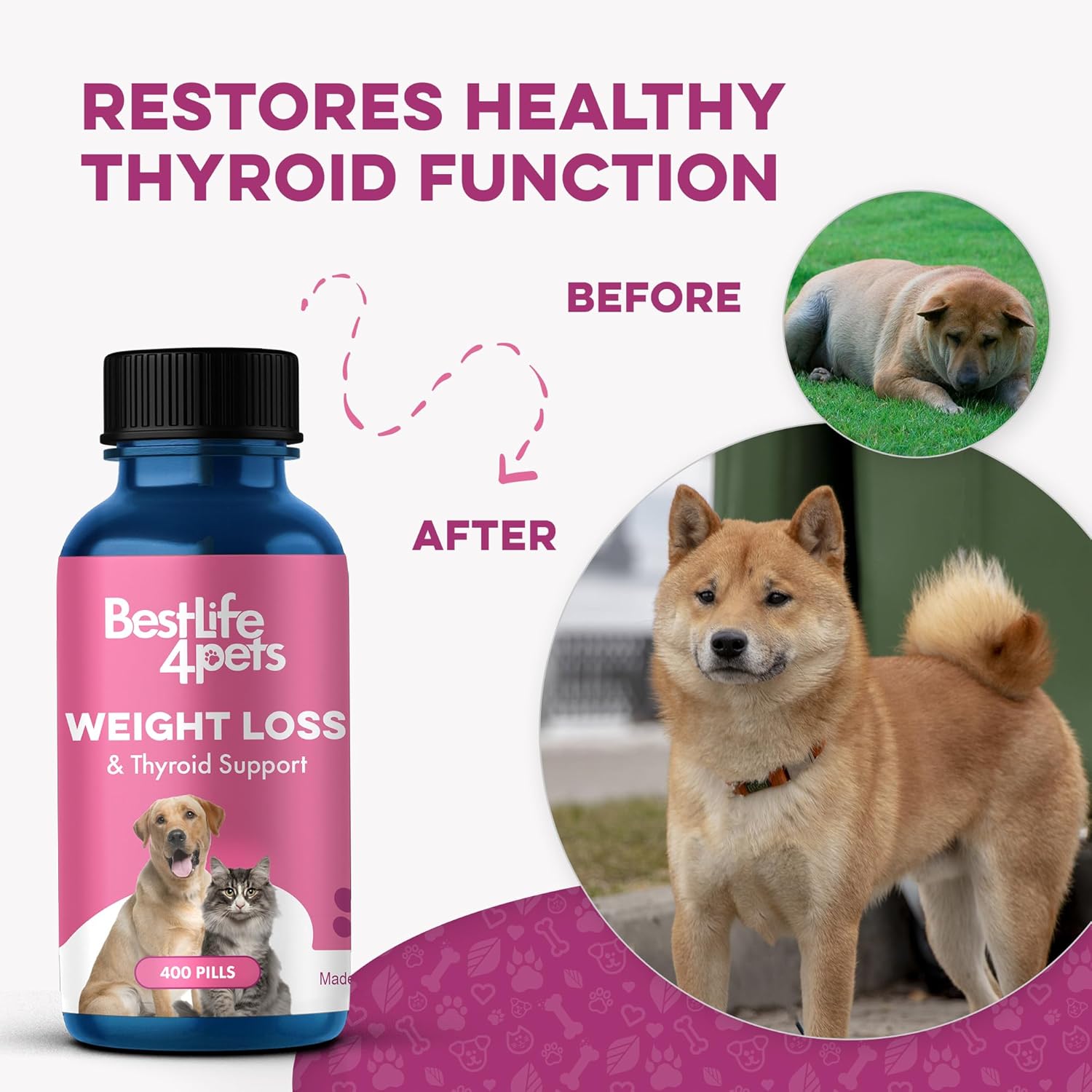 Weight & Thyroid Support for Dogs and Cats - Natural Hunger Control & Metabolism Aid, Optimal Thyroid Function, 400 Pills