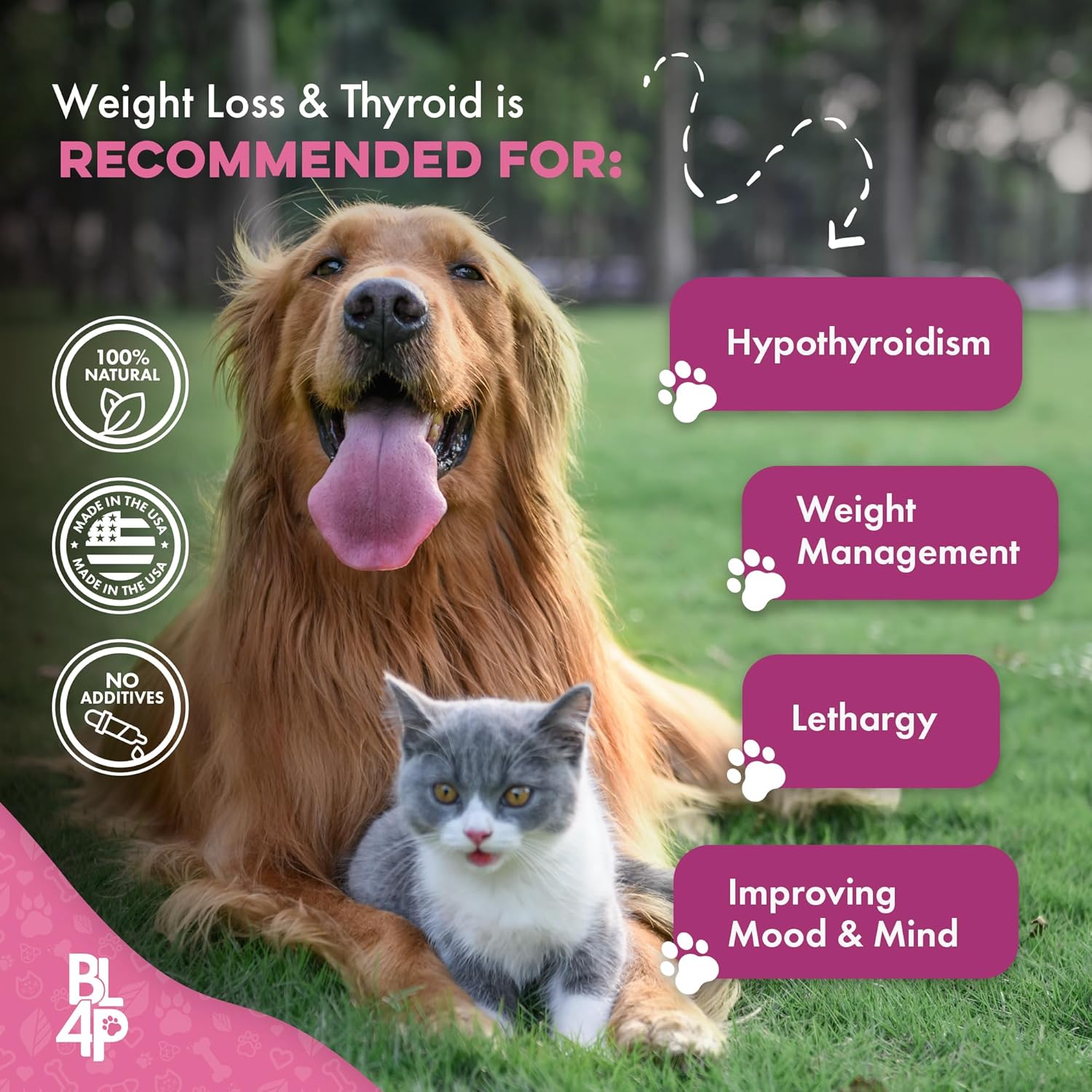 Weight & Thyroid Support for Dogs and Cats - Natural Hunger Control & Metabolism Aid, Optimal Thyroid Function, 400 Pills