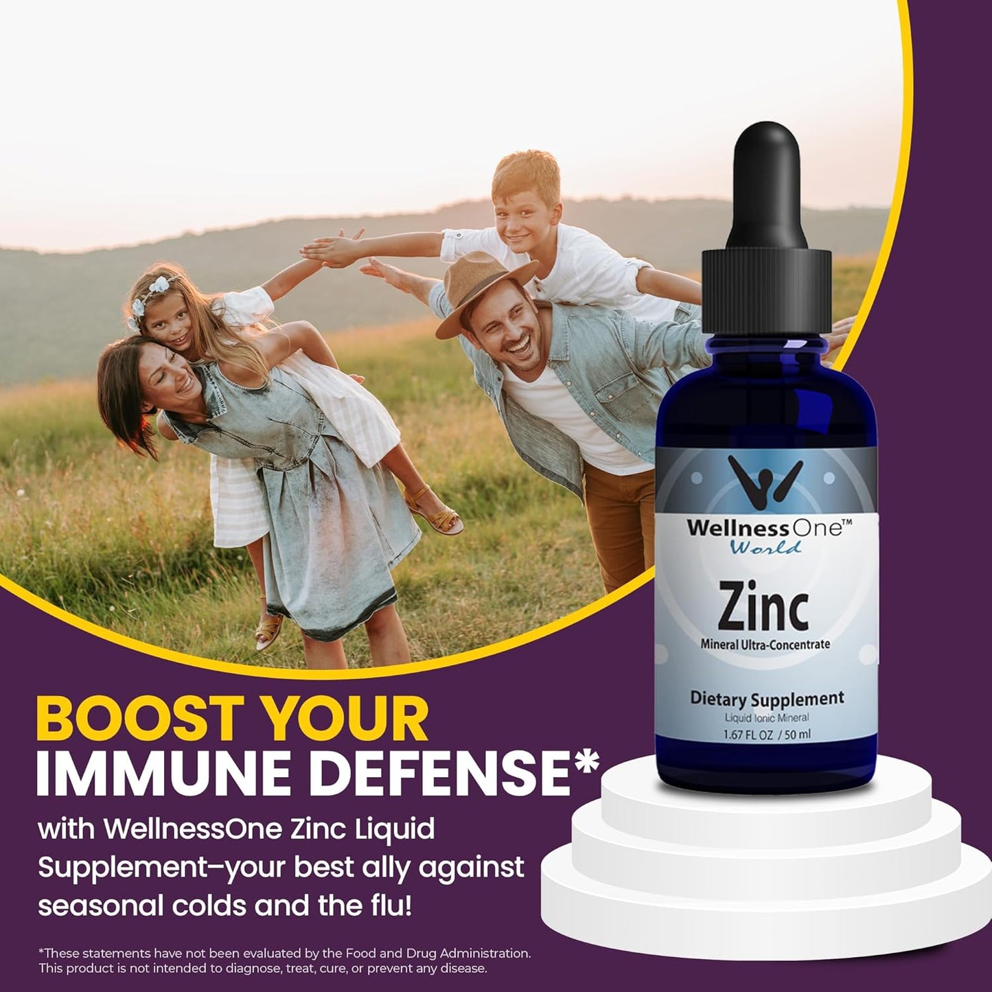 WellnessOne Ionic Liquid Zinc Drops - Immunity Support for Kids & Adults - Highly Absorbable, USA Tested, Vegan, Non-GMO - 1.67 fl oz