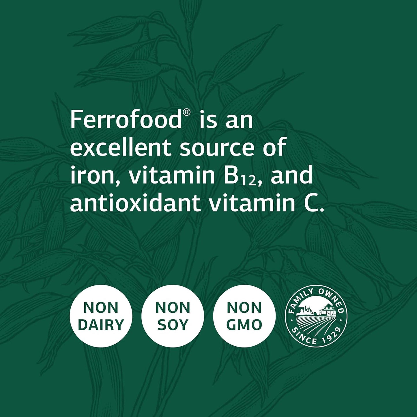 Whole Food Antioxidant Supplement for Healthy Blood and Hemoglobin - Standard Process Ferrofood with Cyanocobalamin, Acerola, Shiitake, Rice Bran, Carrot, Alfalfa, Spanish Moss - 40 Capsules