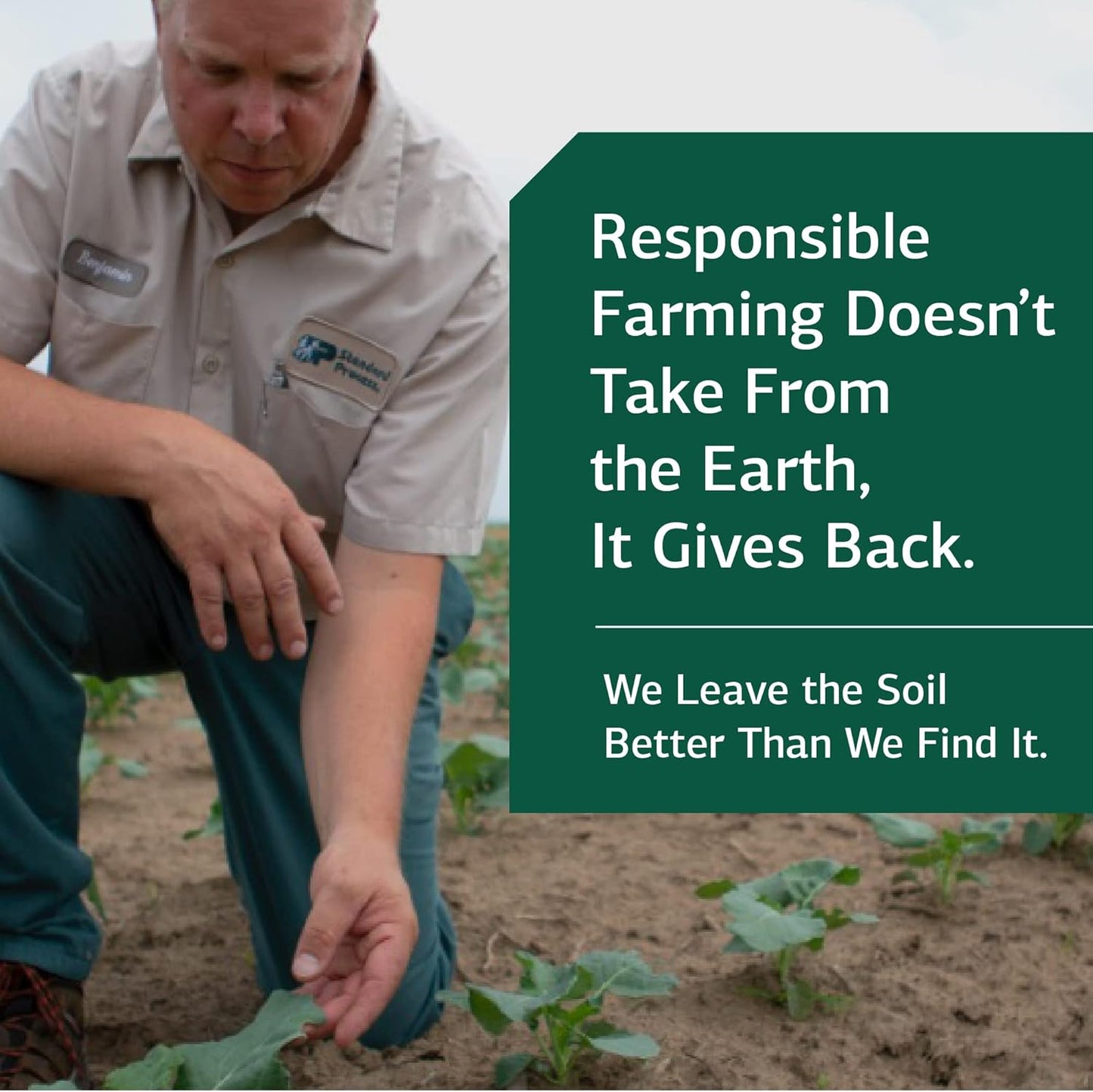 Whole Food Bowel, Pancreas, and Metabolism Support Capsules with Antioxidants and Gallbladder Support - 150 Count