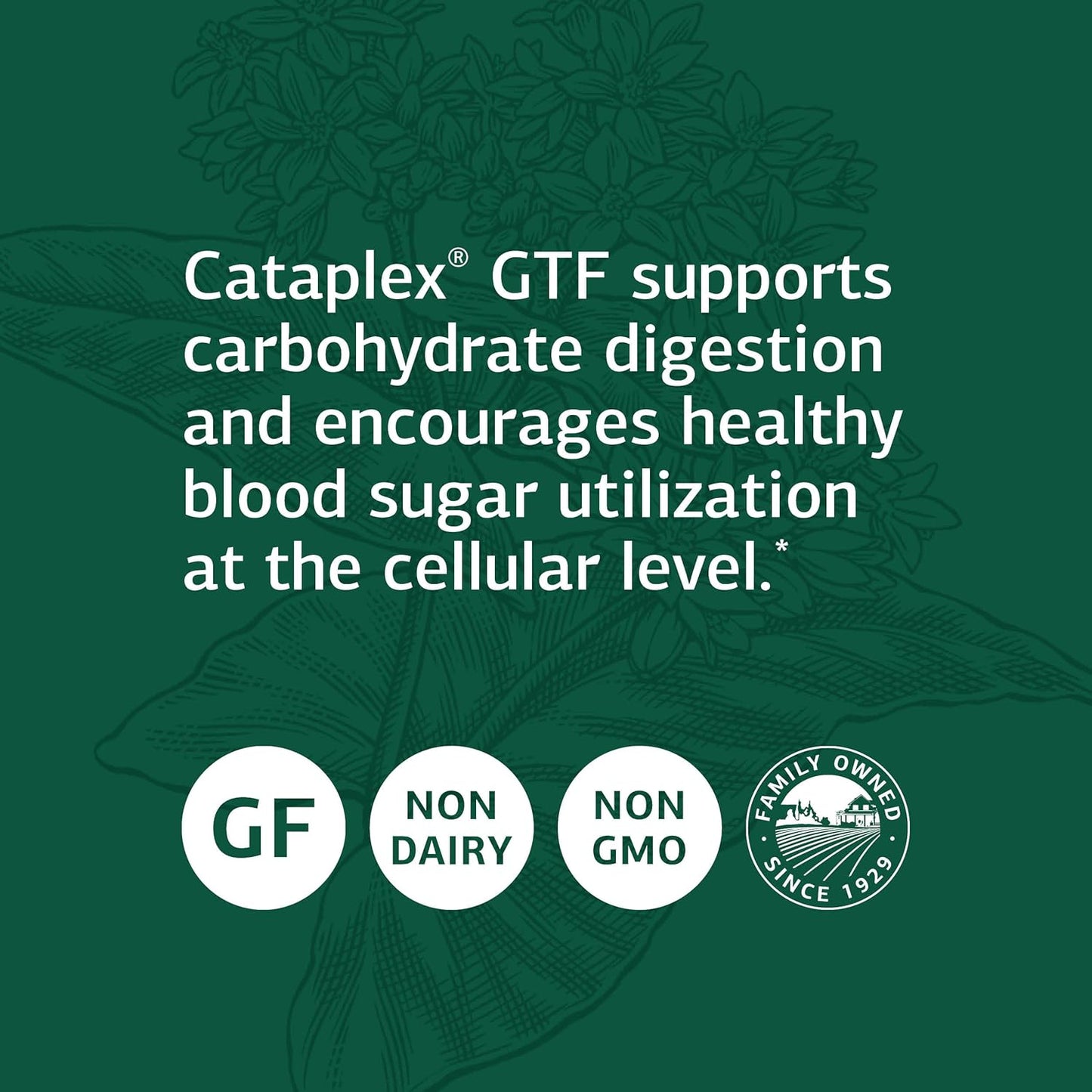 Whole Food Chromium Complex with L-Cysteine for Digestive Health - 180 Tablets by Standard Process Inc.