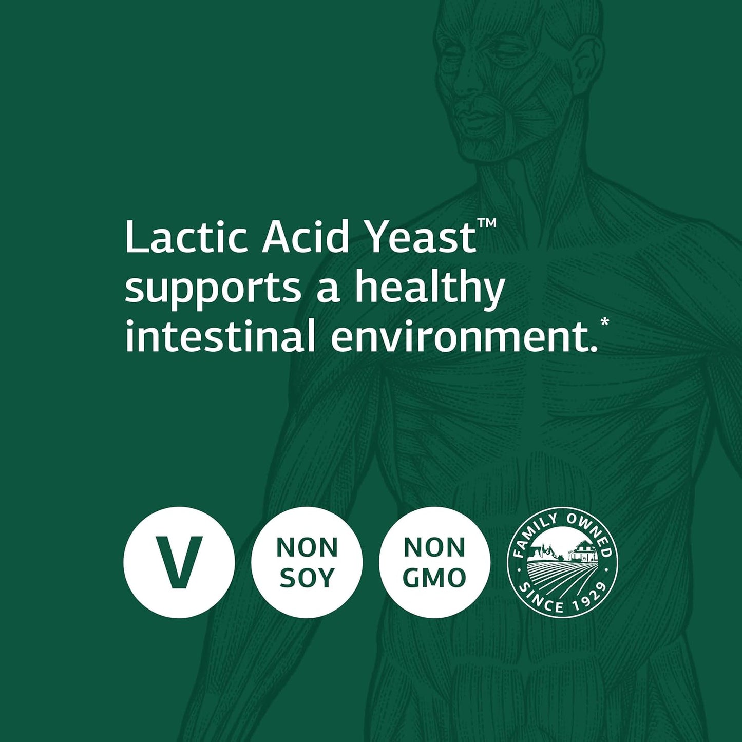 Whole Food Lactic Acid Yeast for Digestive Health - 100 Wafers by Standard Process Inc.
