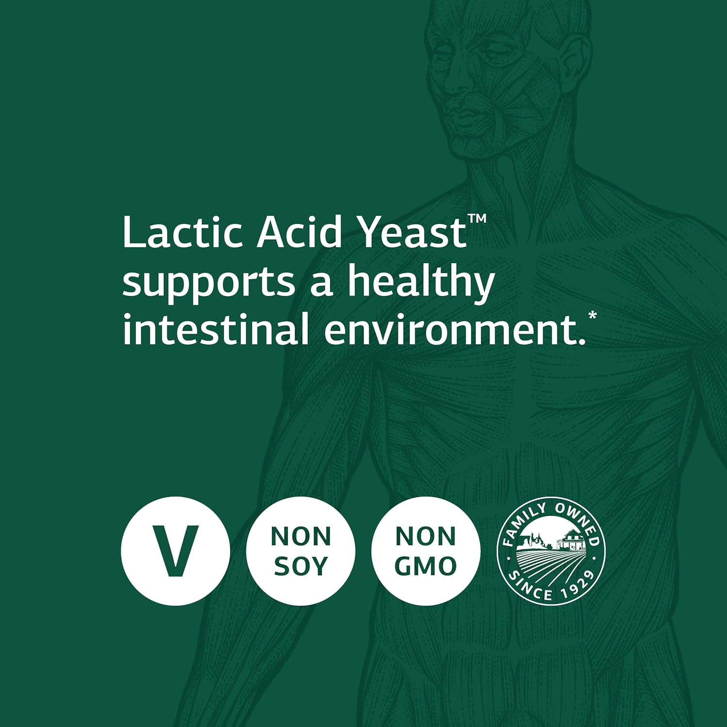 Whole Food Lactic Acid Yeast for Digestive Health - 100 Wafers by Standard Process Inc.