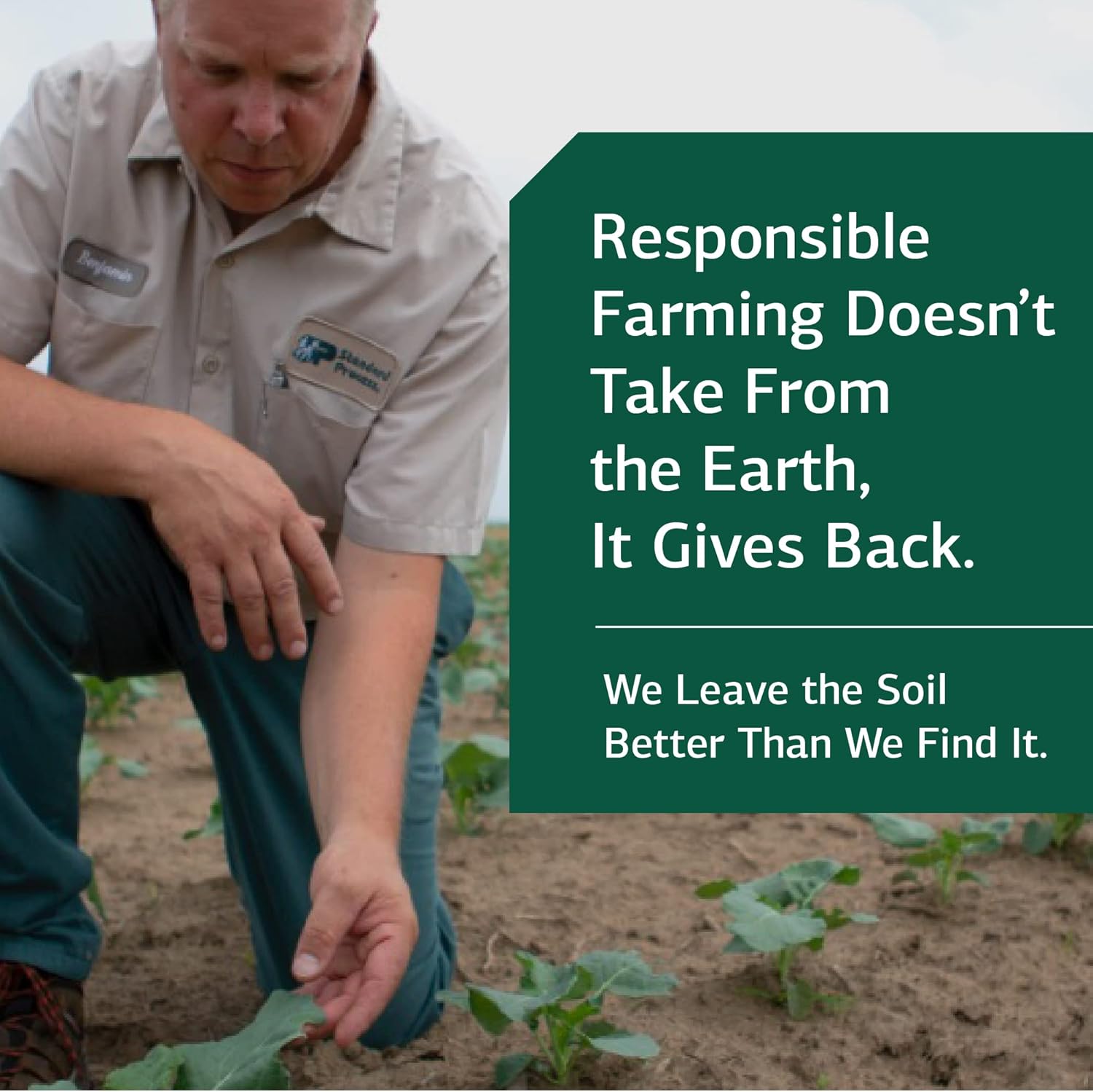 Whole Food Lactic Acid Yeast for Digestive Health - 100 Wafers by Standard Process Inc.