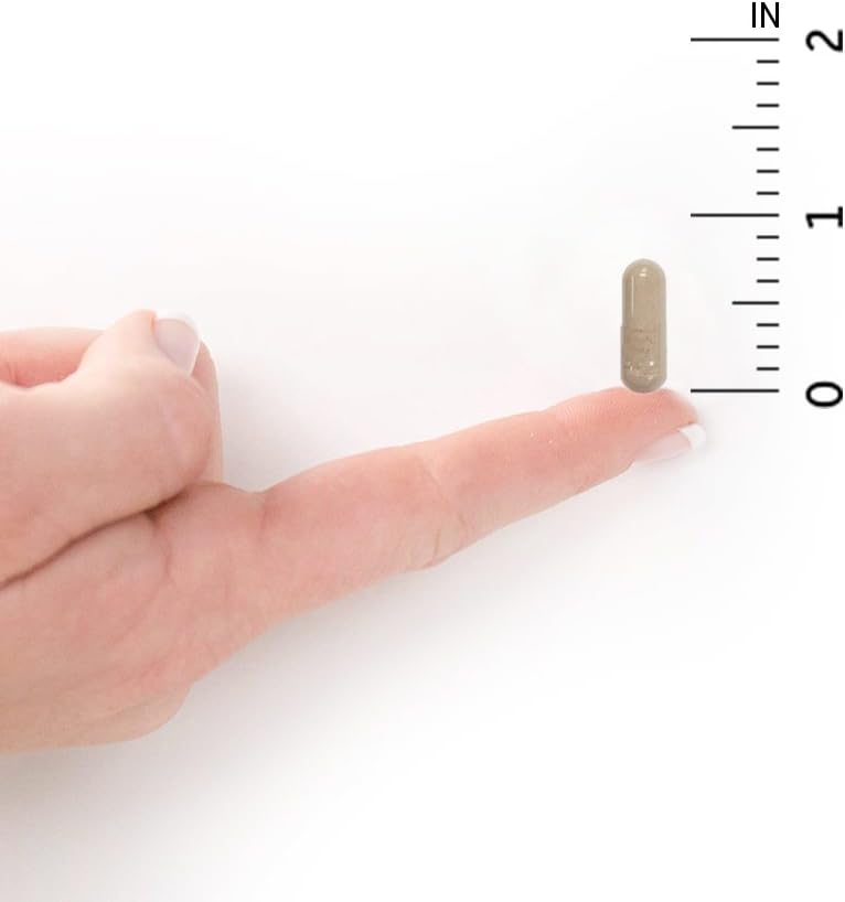 Whole Food Multivitamin for Women with Iron, Folate, and Probiotics - 240 Vegetarian Capsules by Garden of Life