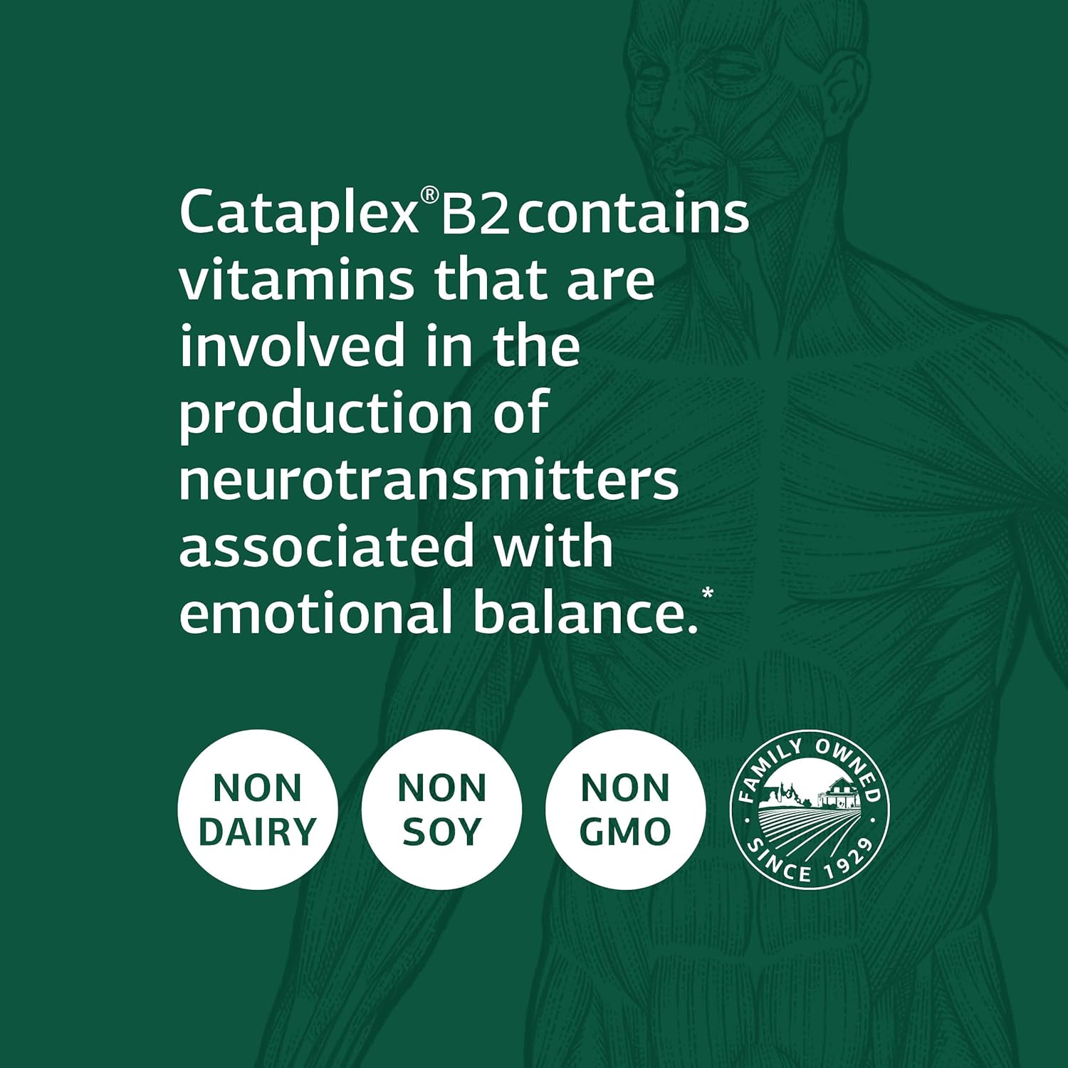 Whole Food Nervous System Support with Standard Process Cataplex B2 - Metabolism and Brain Supplement - 90 Tablets