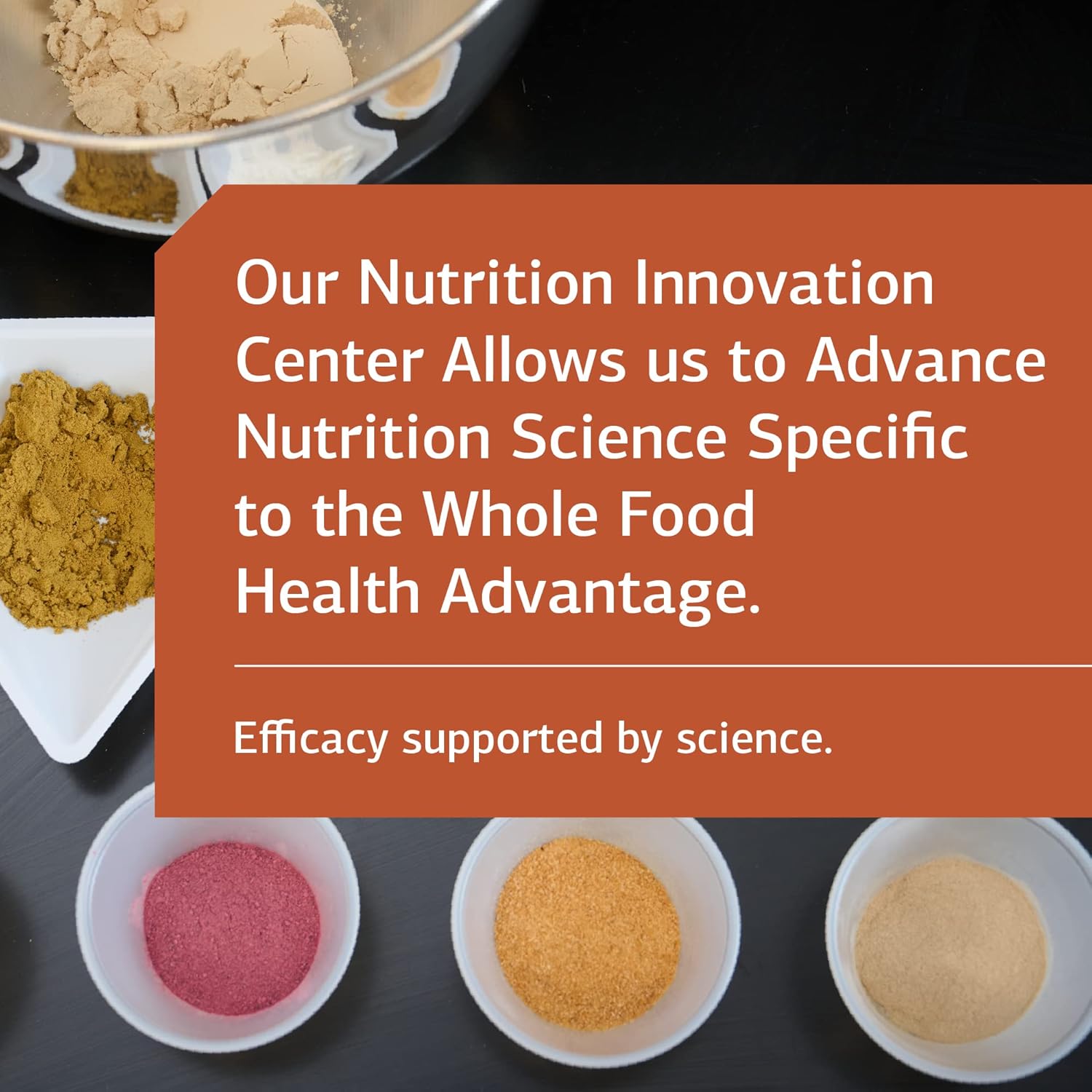 Whole Food Nervous System Support with Standard Process Cataplex B2 - Metabolism and Brain Supplement - 90 Tablets