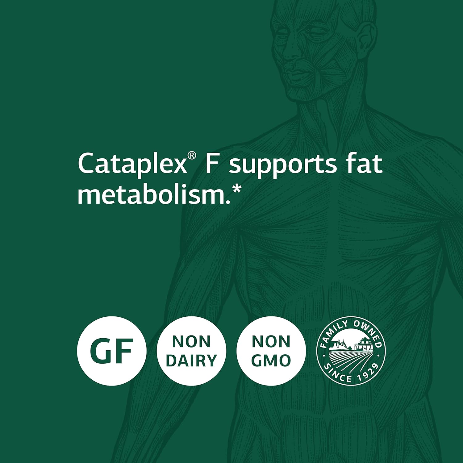 Whole Food Supplement for Metabolism, Skin, & Hair Health - Standard Process Cataplex F - 60 Softgels