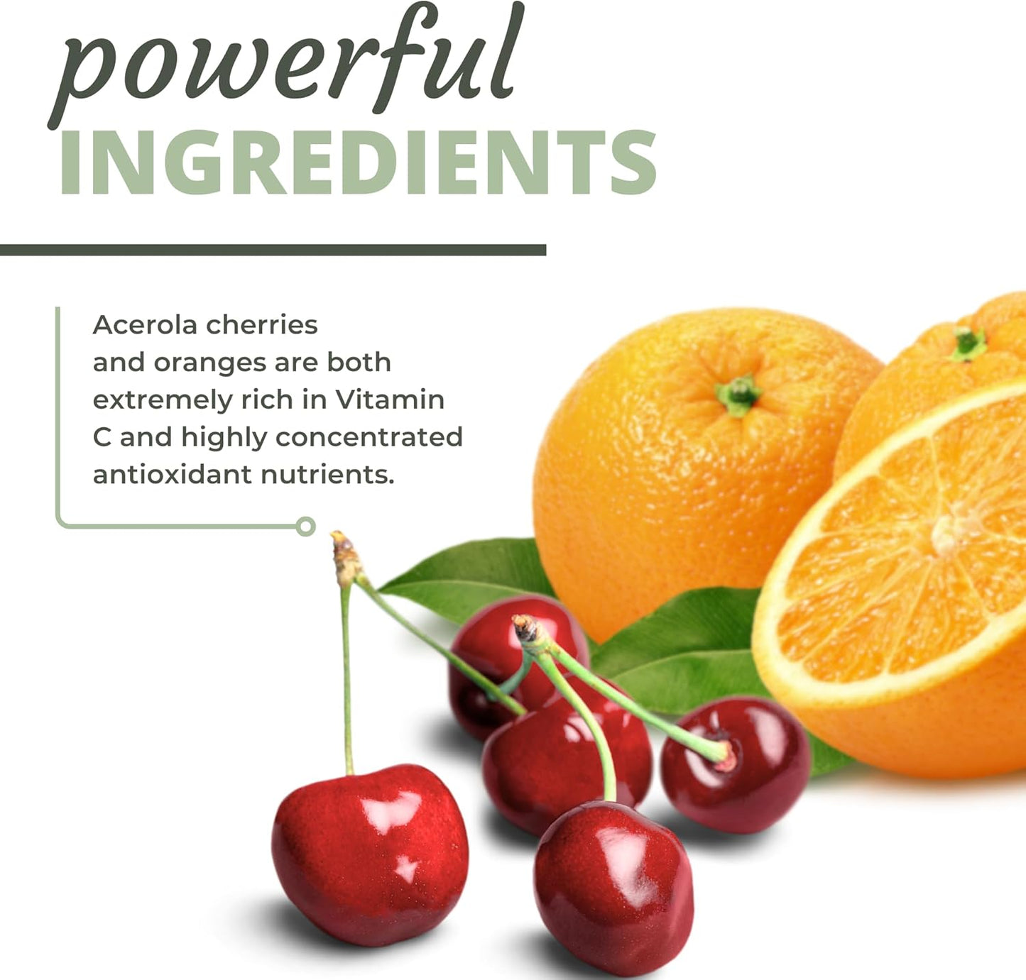 Whole Food Vitamin C Chewable Tablets with Acerola Cherry, Orange Fruit, Black Currant, and Bioflavonoids - 60 Tablets