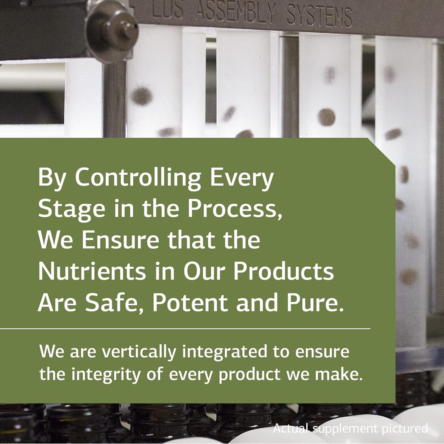 Whole Food Zinc Chelate Supplement with Beet Root for Digestive and Skin Health - 180 Tablets by Standard Process Inc.