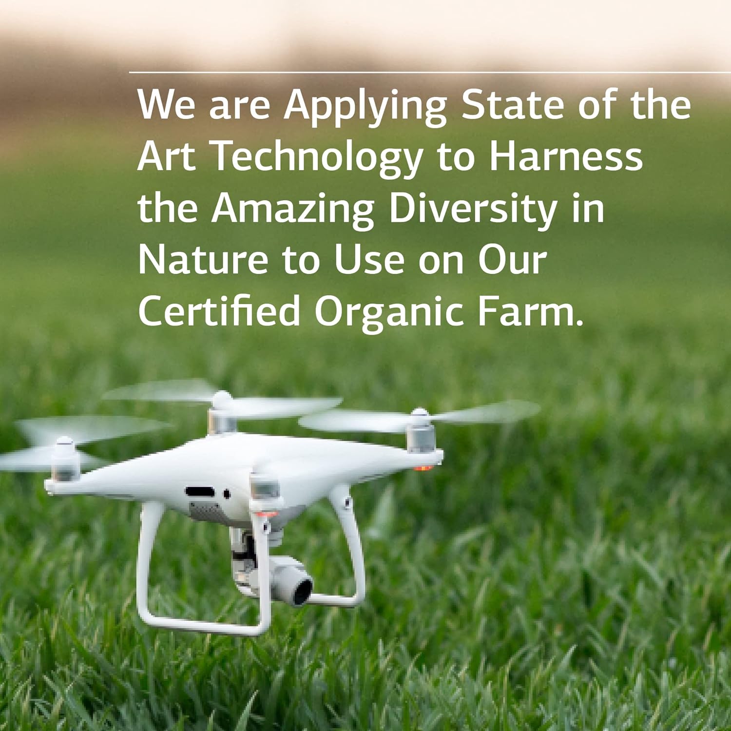 Whole Food Zinc Chelate Supplement with Beet Root for Digestive and Skin Health - 180 Tablets by Standard Process Inc.