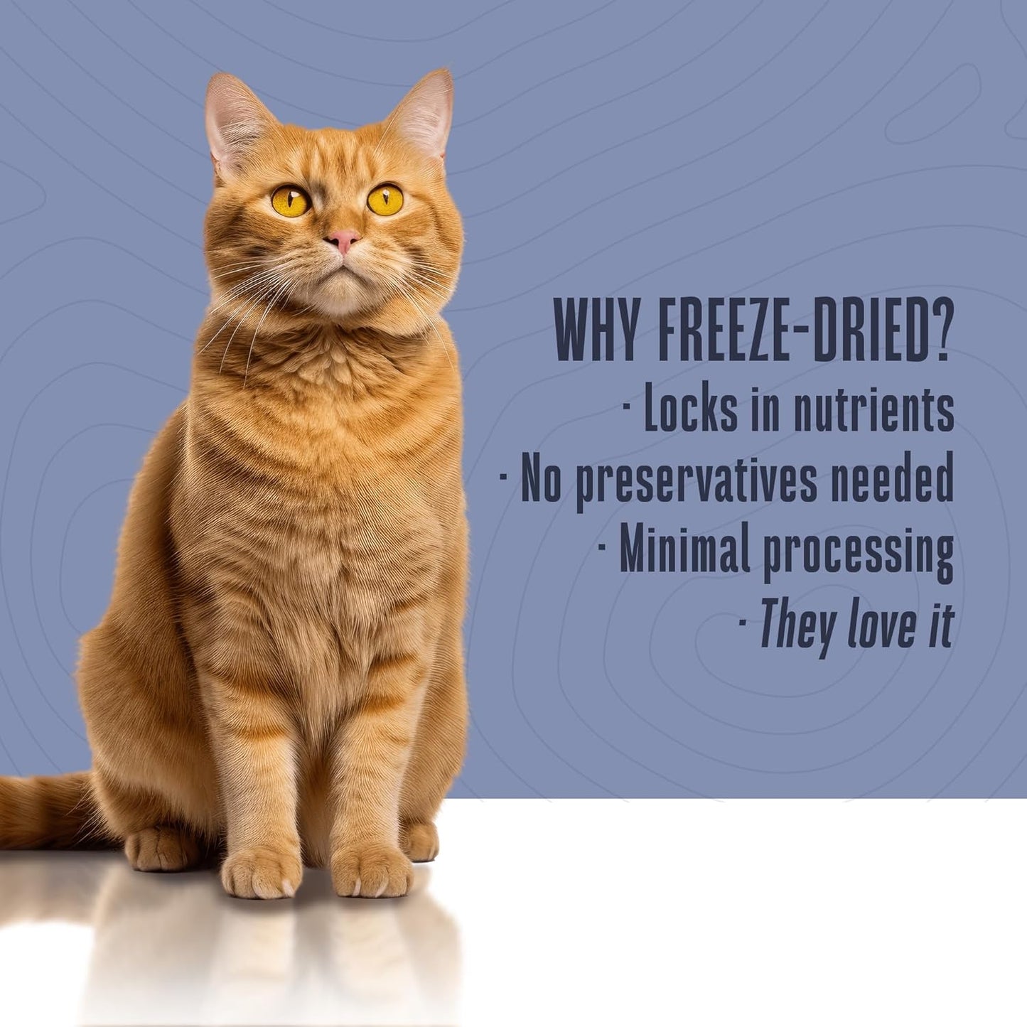 Whole Life Pet Freeze Dried Cat Food - Skin & Coat Health Supplements, Allergy Relief, Immune Support - 30-Day Supply