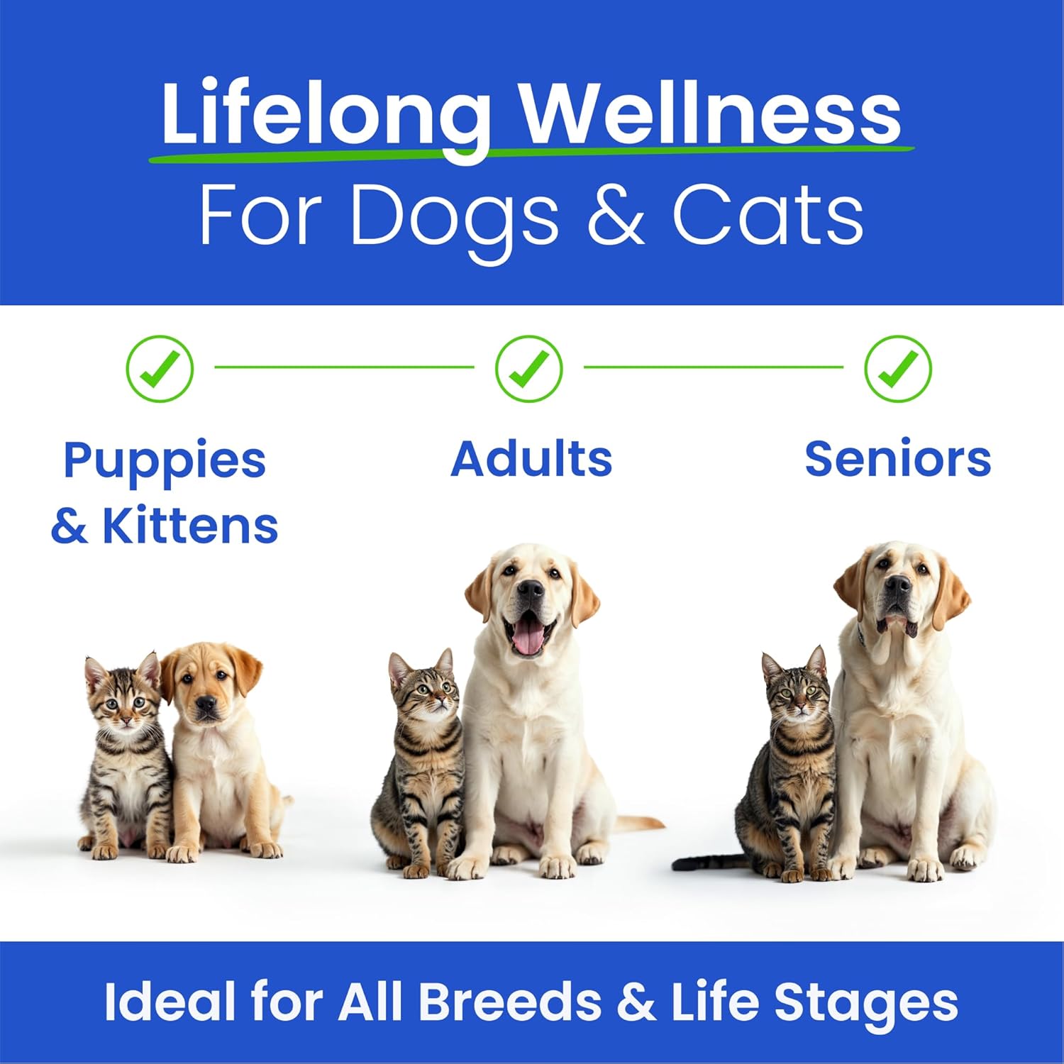 Wild Alaskan Salmon Oil Fish Oil Liquid Supplement for Dogs - Omega 3 EPA+DHA Fatty Acids, Skin&Coat Support - Itch&Allergy Relief, Joint, Immune&Heart Health - BARK&SPARK Omega 3