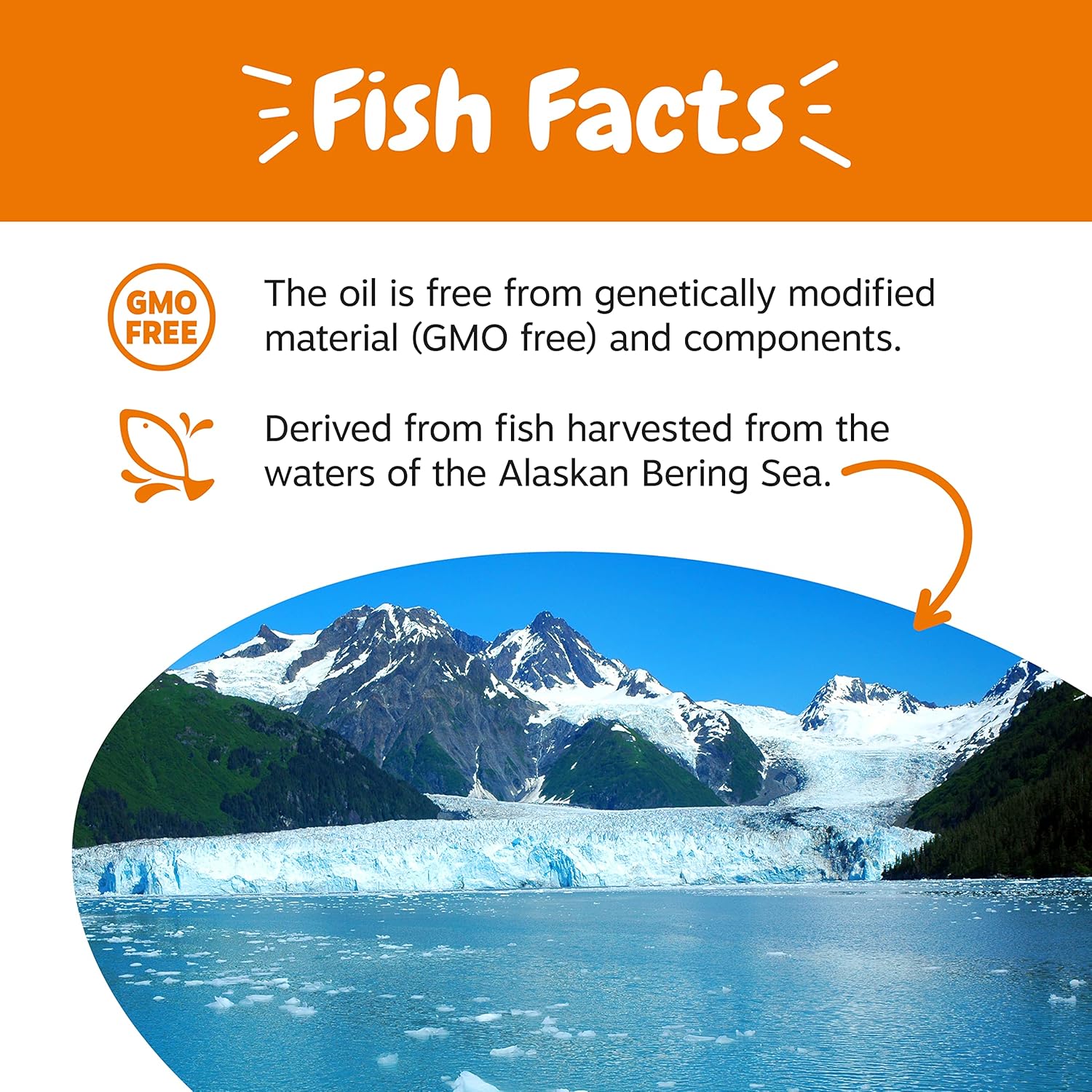 Wild Alaskan Salmon Oil for Pets - Omega 3 Liquid Supplement for Skin, Coat, Joints, Heart Health - 32oz Pump Bottle