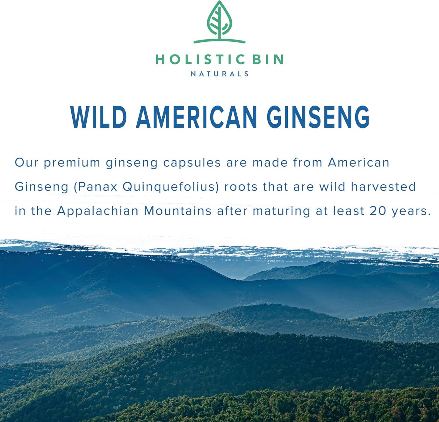 Wild American Ginseng Capsules - Pure Organic Supplement | Appalachian Roots (Panax Quinquefolius) - 40 Capsules