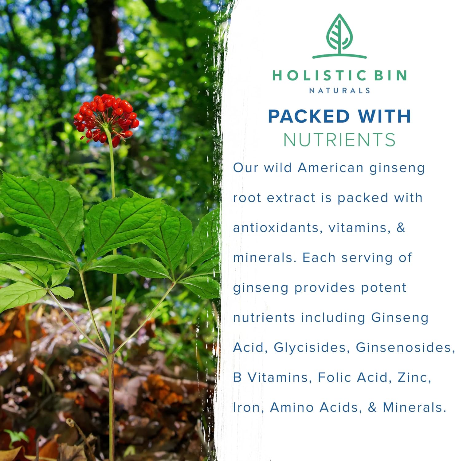 Wild American Ginseng Capsules - Pure Organic Supplement | Appalachian Roots (Panax Quinquefolius) - 40 Capsules