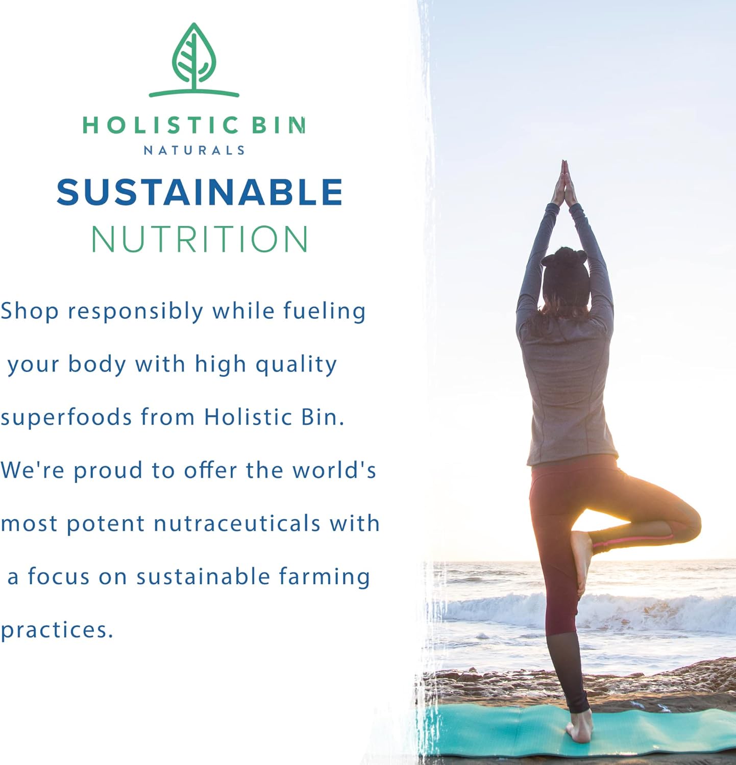 Wild American Ginseng Capsules - Pure Organic Supplement | Appalachian Roots (Panax Quinquefolius) - 40 Capsules