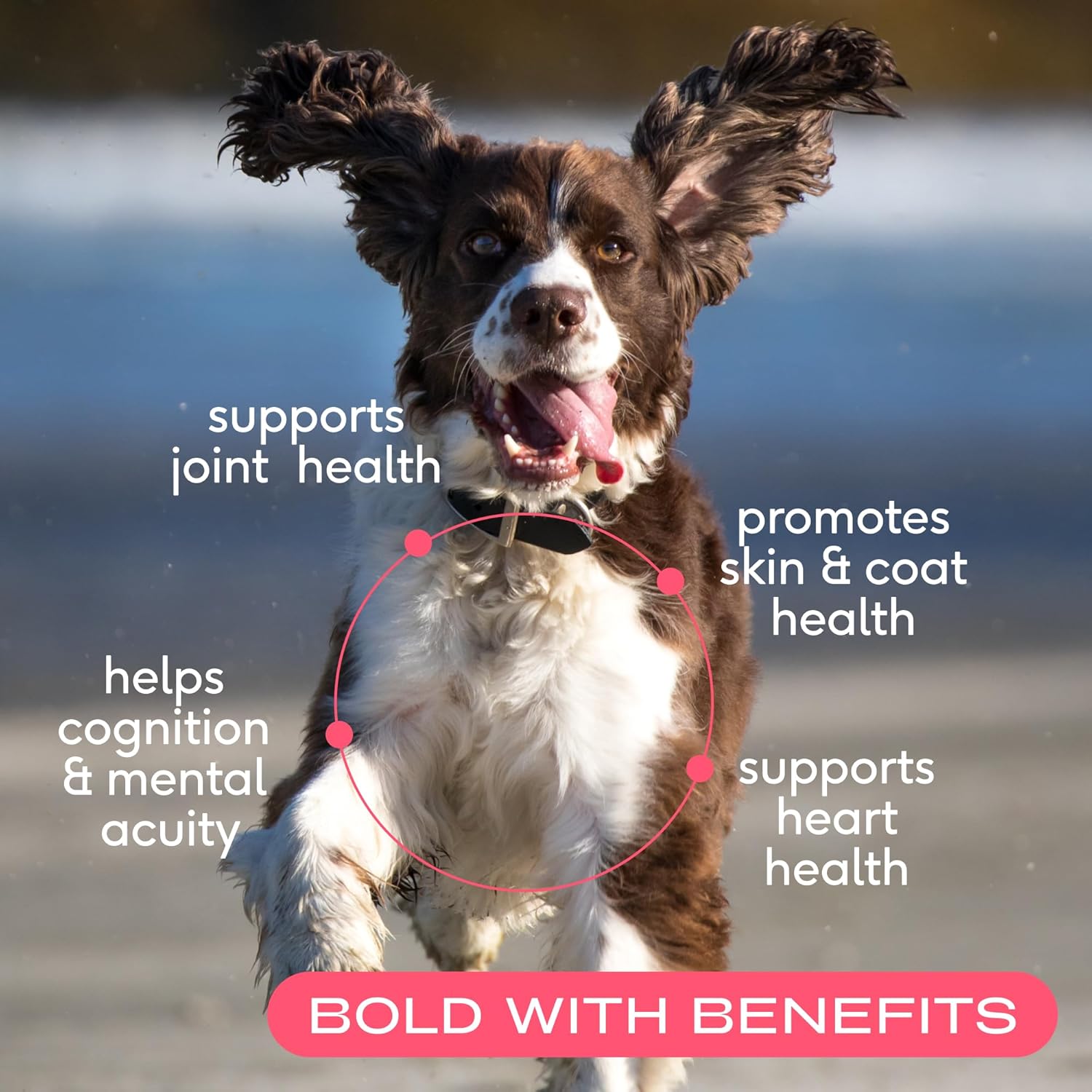 Wild-Caught Alaskan Sockeye Salmon Oil for Dogs & Cats - Omega-3 Fish Oil Supplement for Skin, Coat, Joint, & Heart Health - Anti-Inflammatory - 8 oz