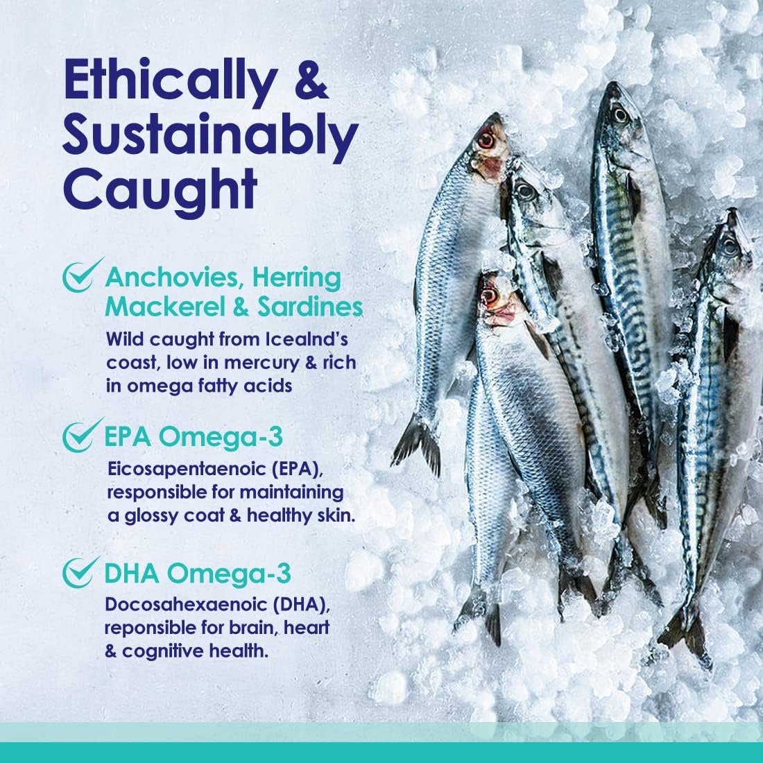 Wild Caught Icelandic Fish Oil for Dogs, Omega 3 Skin & Coat Supplement, EPA + DHA, 180 Capsules