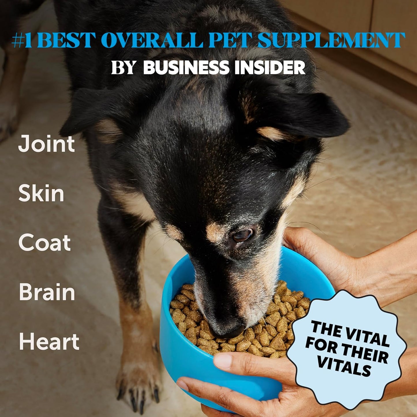 Wild Caught Omega 3 Fish Oil for Cats & Dogs (16oz) - Skin, Coat, Immunity, Joint & Heart Support with EPA + DHA