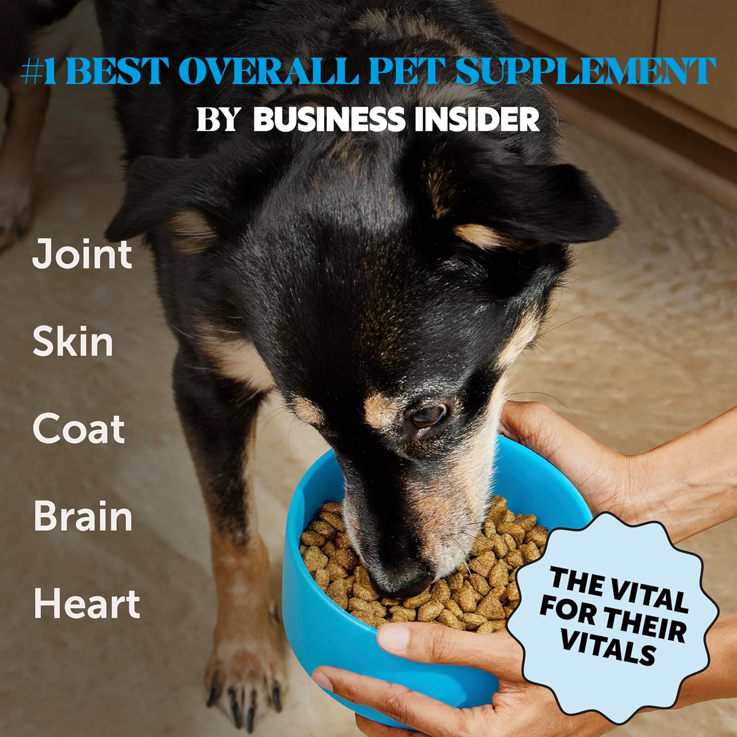 Wild Caught Omega 3 Fish Oil for Cats & Dogs (16oz) - Skin, Coat, Immunity, Joint & Heart Support with EPA + DHA