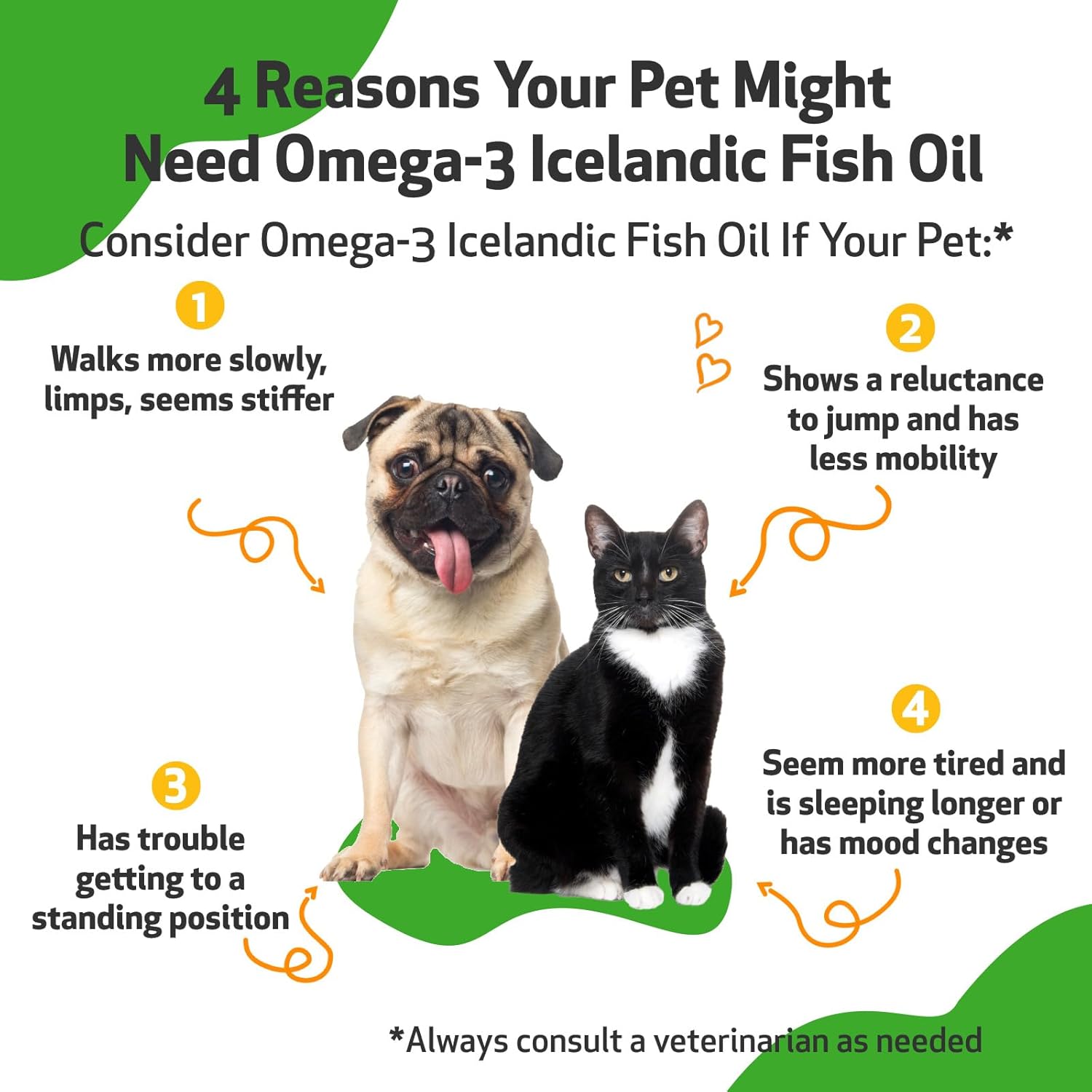 Wild-Caught Omega-3 Fish Oil for Dogs - Healthy Skin, Coat, and Joints - Anchovies and Sardines - EPA, DHA - 8 fl oz