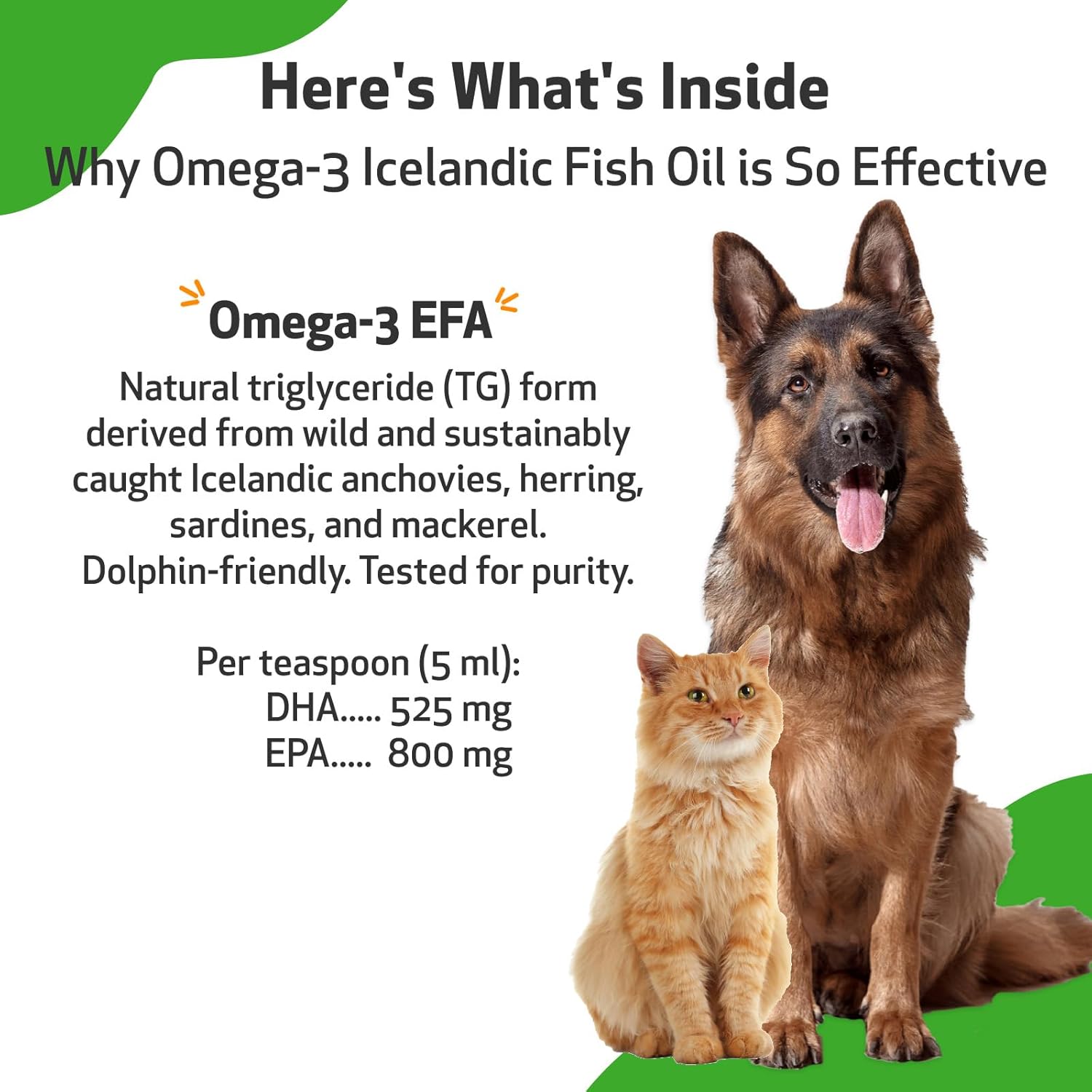 Wild-Caught Omega-3 Fish Oil for Dogs - Healthy Skin, Coat, and Joints - Anchovies and Sardines - EPA, DHA - 8 fl oz