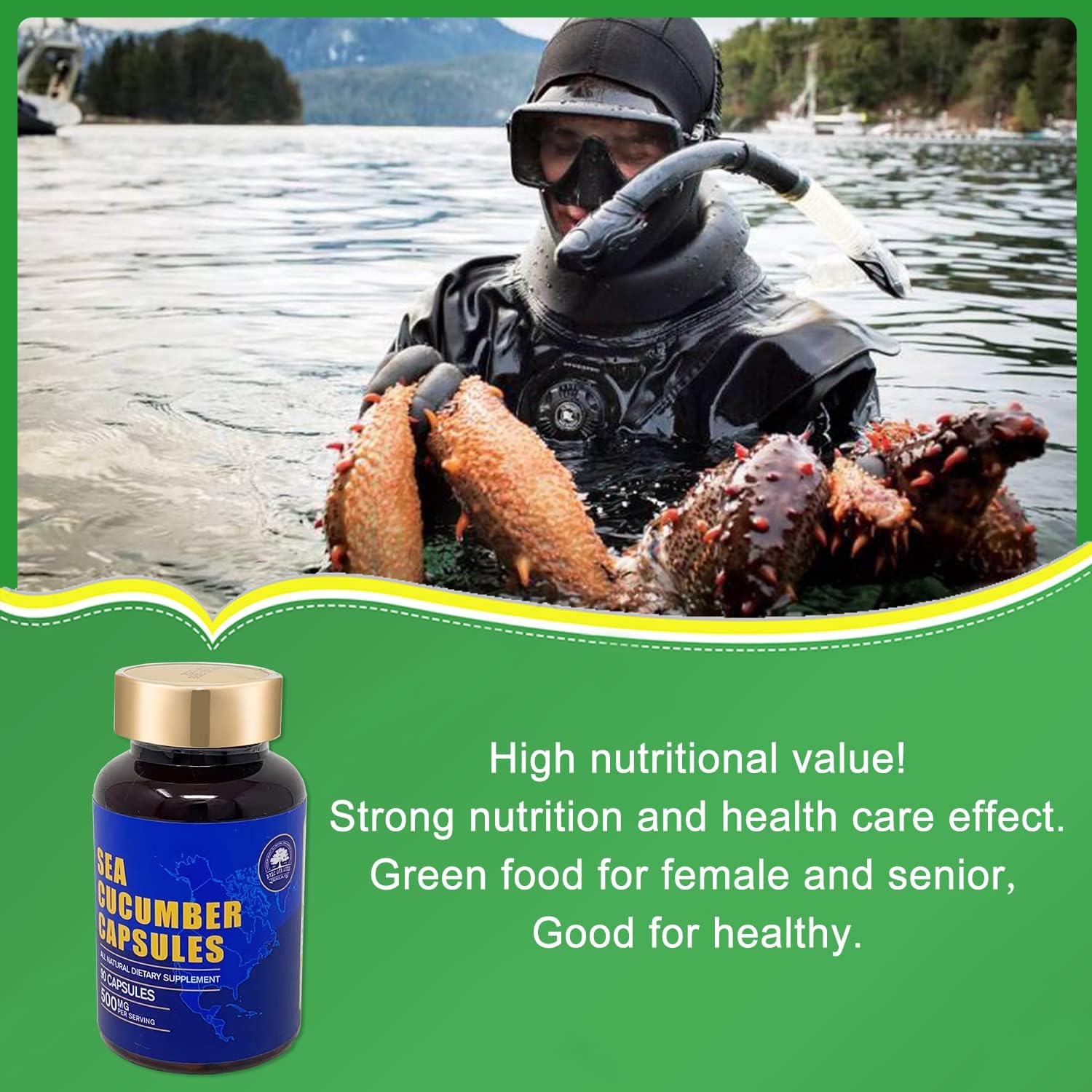 Wild Caught Sea Cucumber Capsules - Natural Antioxidant & Immune Support Supplement (270 Capsules)
