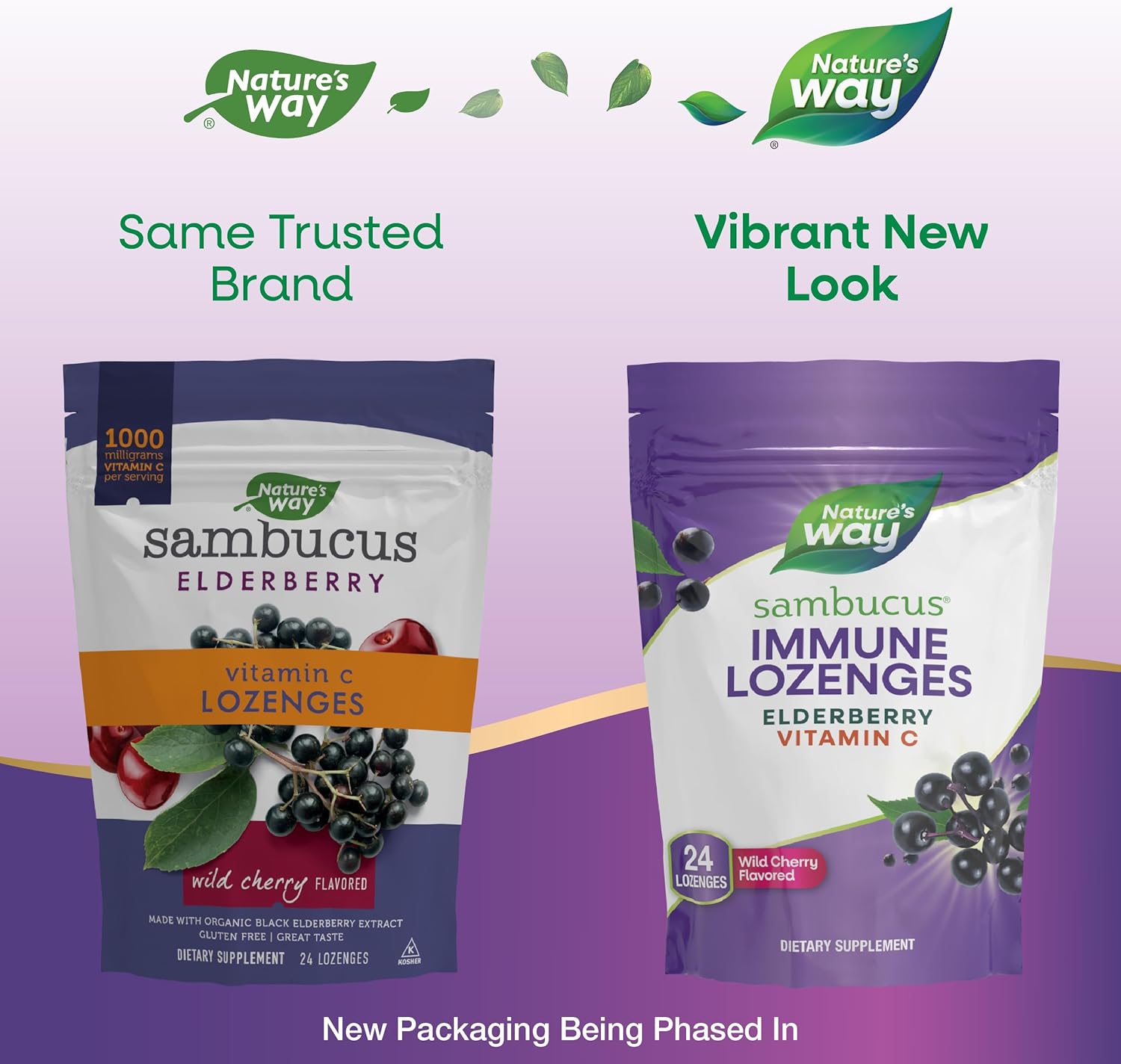 Wild Cherry Sambucus Elderberry Lozenges with 1000mg Vitamin C - 24 Count