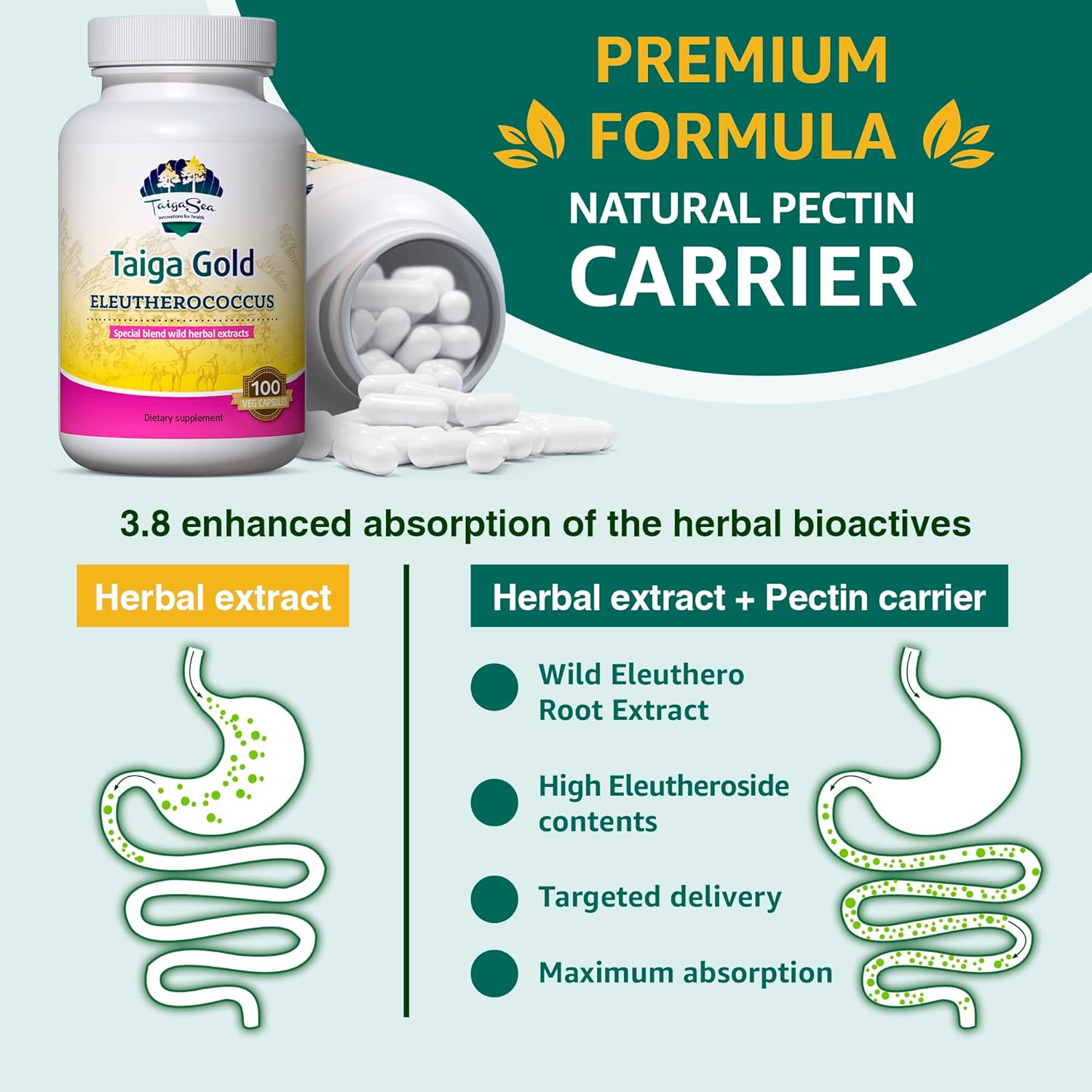 Wild Eleuthero Root Extract Capsules for Immunity and Endurance - 100 Vegetarian Capsules