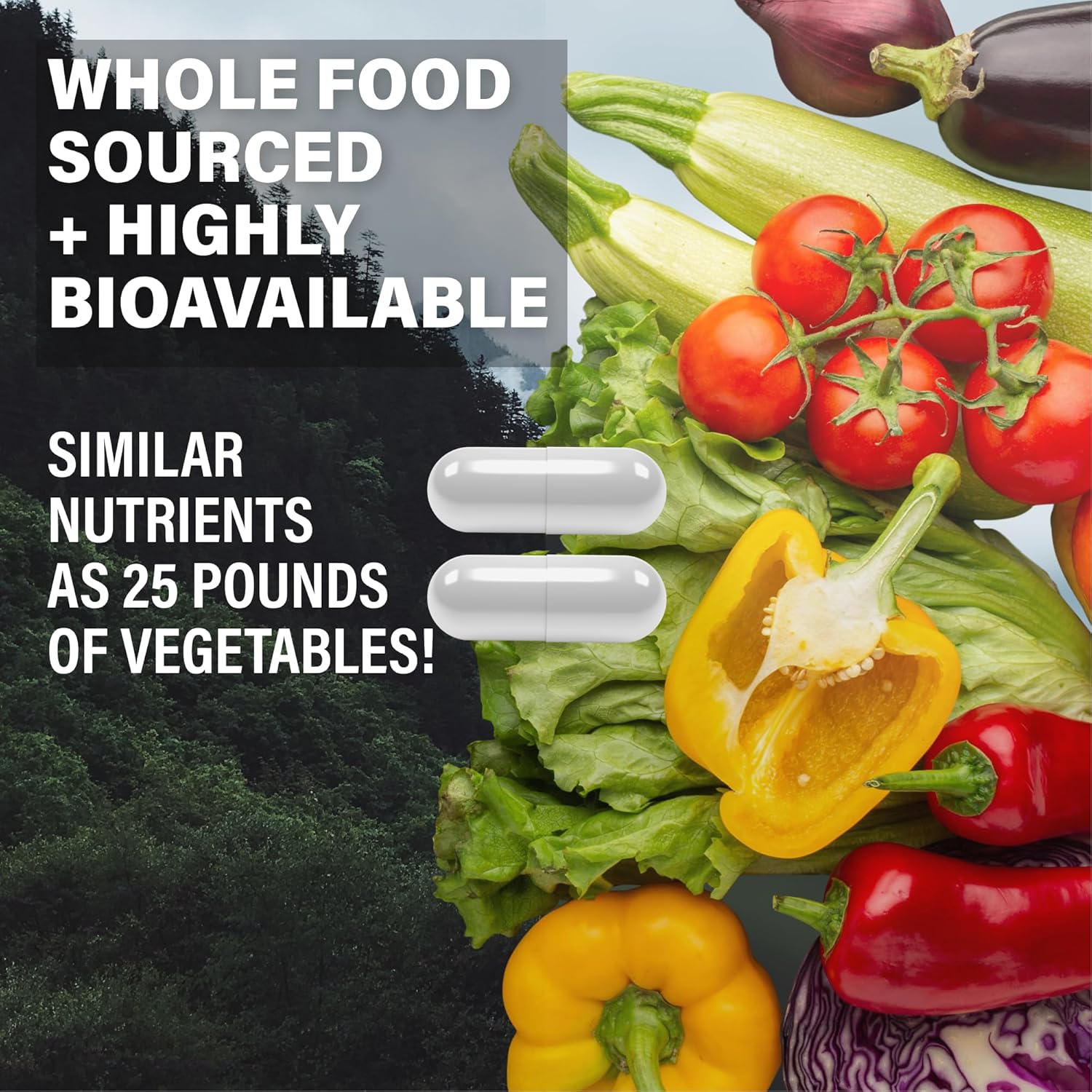 Wild Foods Methylated Multivitamin for Women & Men - Daily Multi Vitamin Without Iron - Supports MTHFR - Includes B12, Folate, Vitamin C, A, K2, D, E, Choline, Biotin, ALA, CoQ10 - 60 Capsules