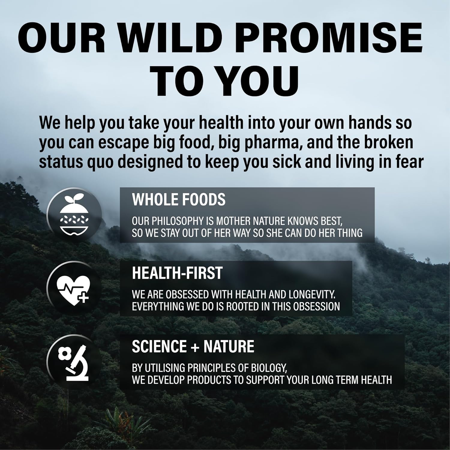 Wild Foods Methylated Multivitamin for Women & Men - Daily Multi Vitamin Without Iron - Supports MTHFR - Includes B12, Folate, Vitamin C, A, K2, D, E, Choline, Biotin, ALA, CoQ10 - 60 Capsules