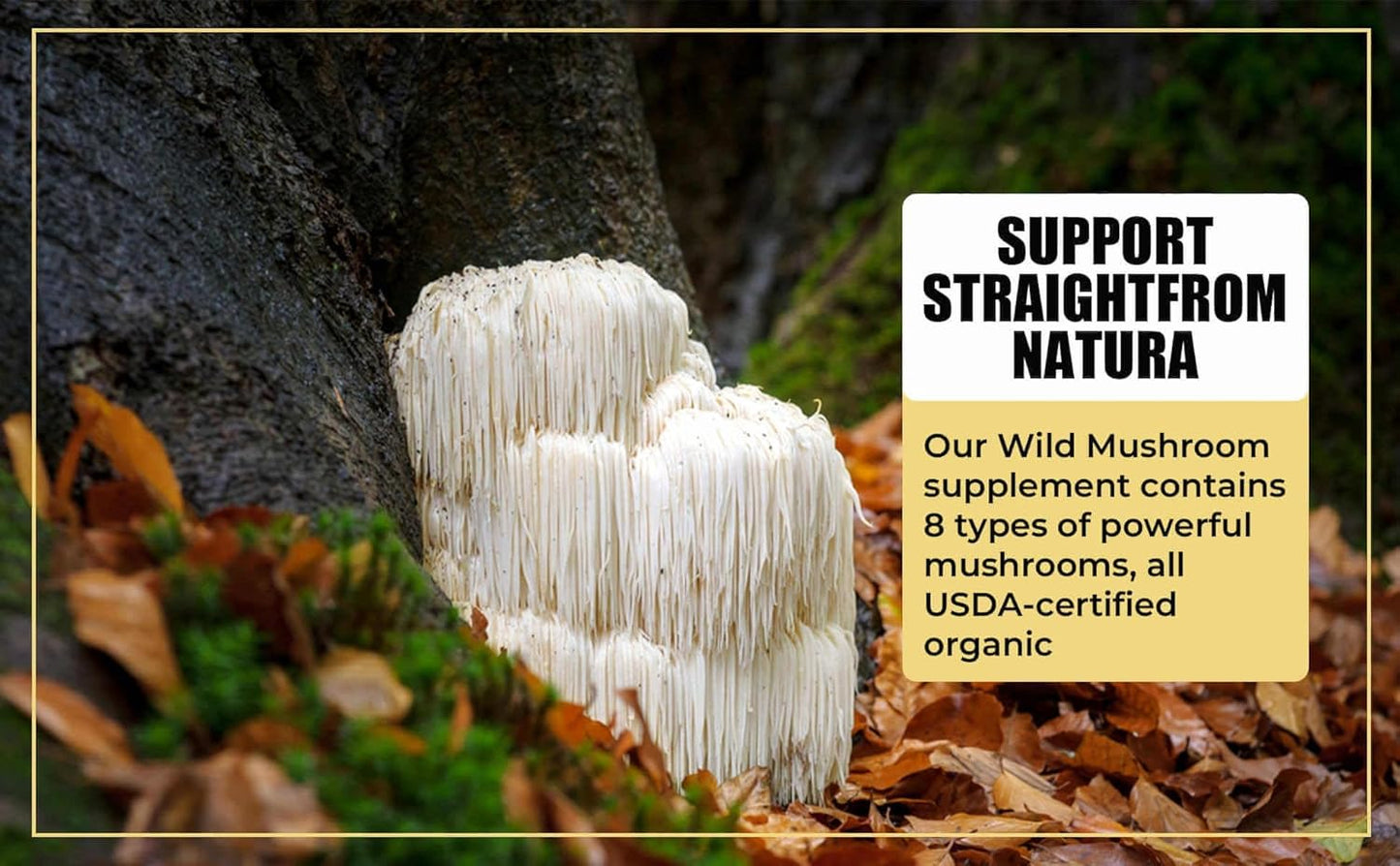 Wild Foods Organic Mushroom Supplement Complex - Pack of 2 | Includes Lions Mane, Turkey Tail, Reishi & More Adaptogenic Mushrooms for Energy, Brain & Immune Health