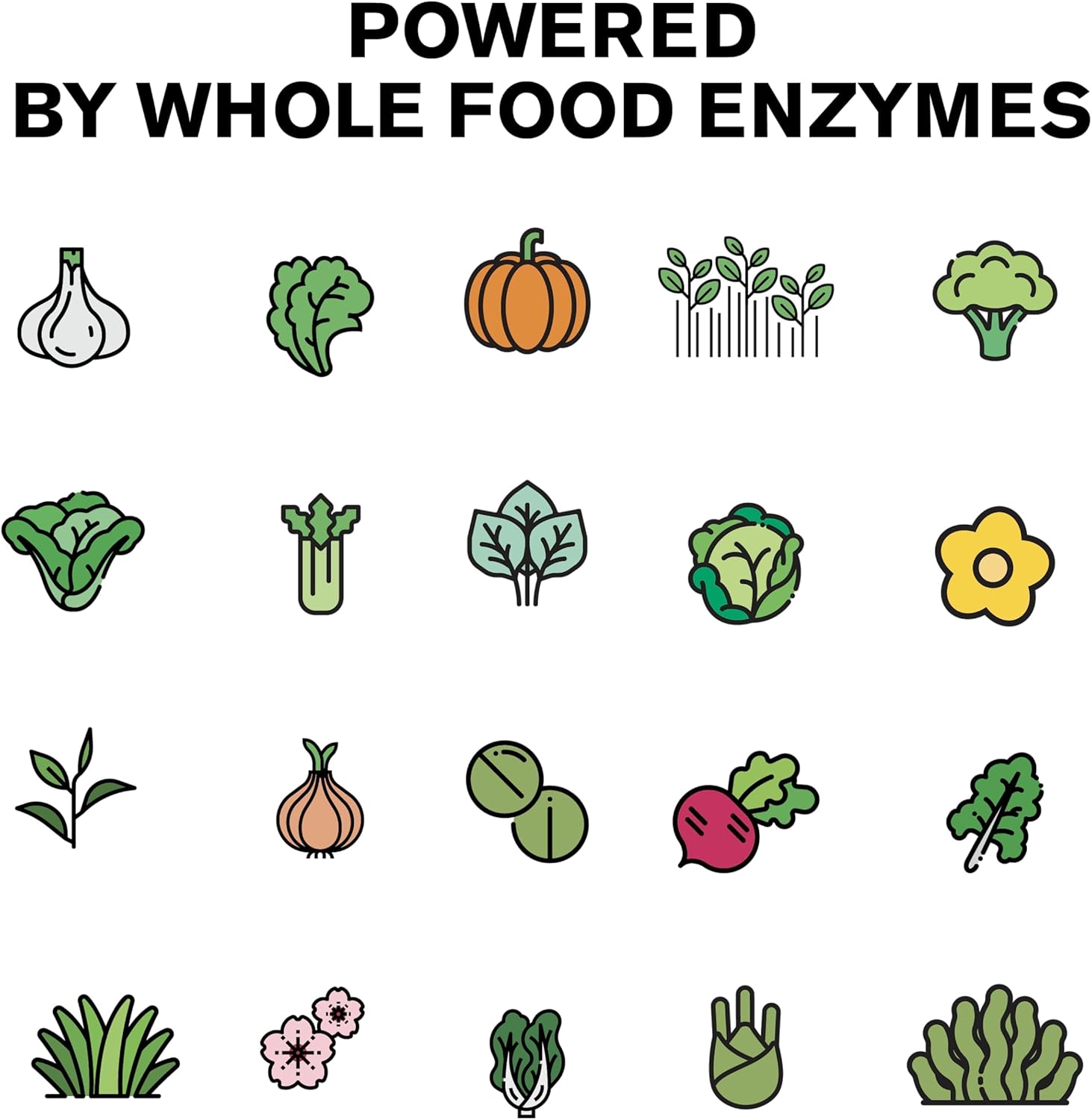 Wild Foods Prebiotics, Probiotics, & Digestive Enzymes - 20 Billion CFU, 10 Strains for Gut Health - Men & Women - Non-GMO Fiber - 60 Count