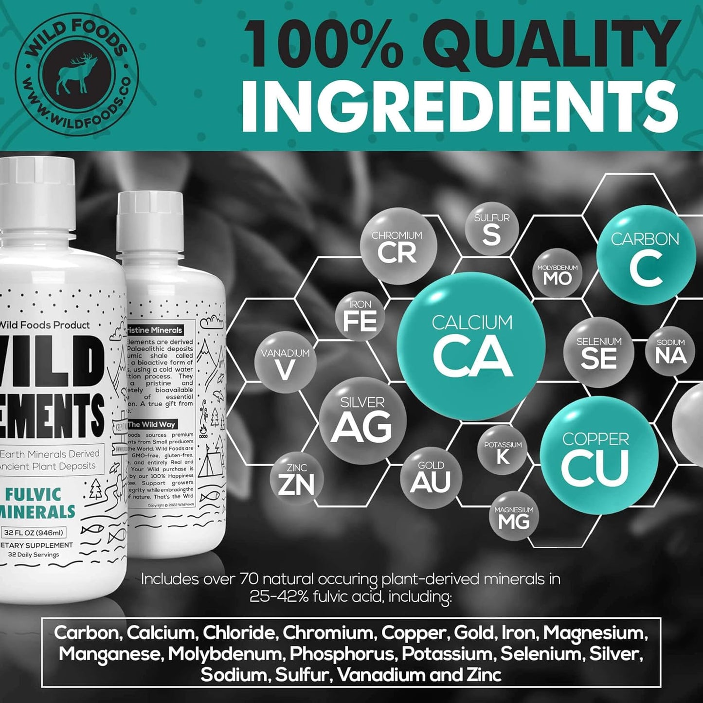 Wild Foods Wild Elements Gut Support: Ancient Plant-Derived Fulvic Acid Mineral Blend, Heal Gut, Boost Cognition & Immunity, 70+ Minerals, All Natural - 32 oz