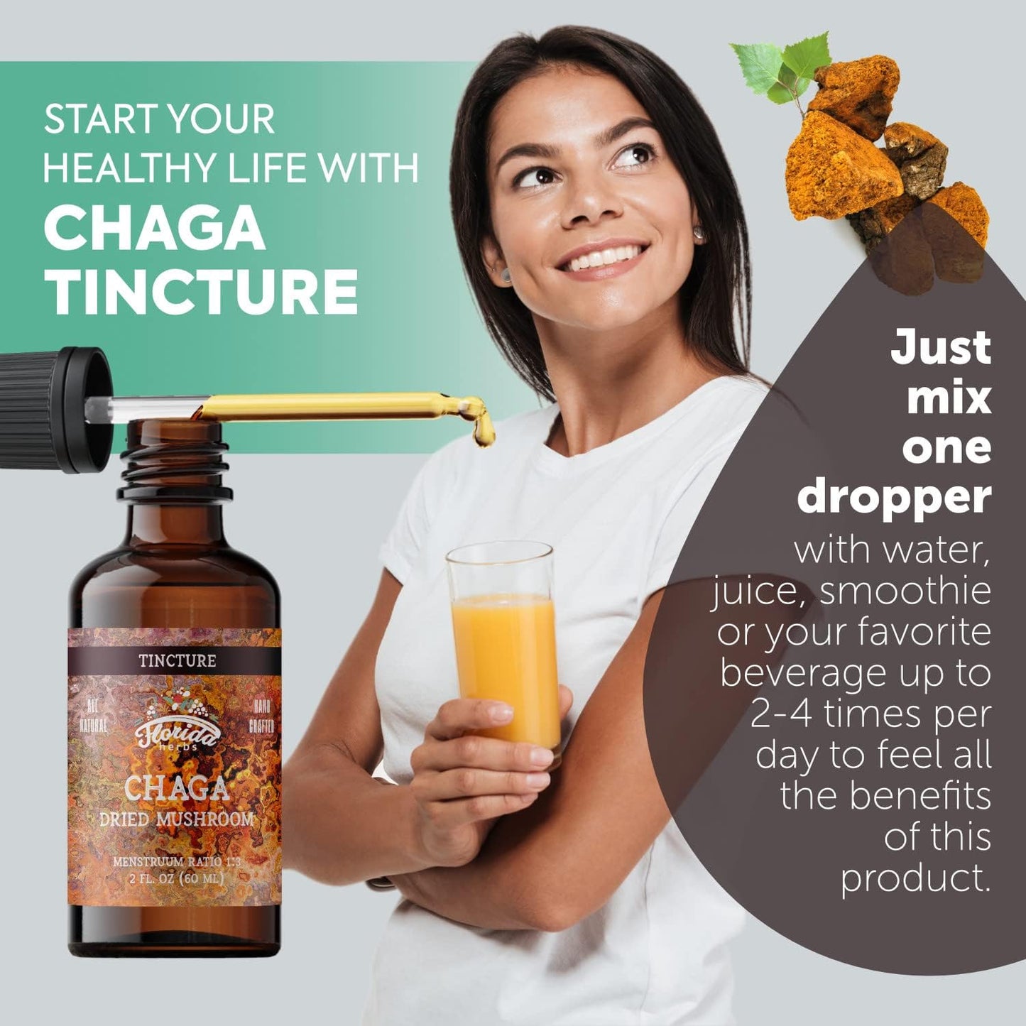 Wild Harvested Chaga Tincture Extract from Florida Herbs (Inonotus obliquus)
