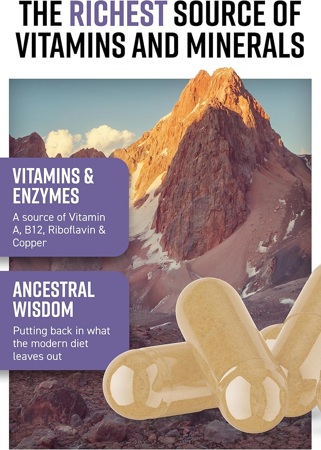 Wild Icelandic Lamb Liver Capsules | Ancestral Inspired Supplements | Grass Fed, No GMO, Antibiotics, Hormones