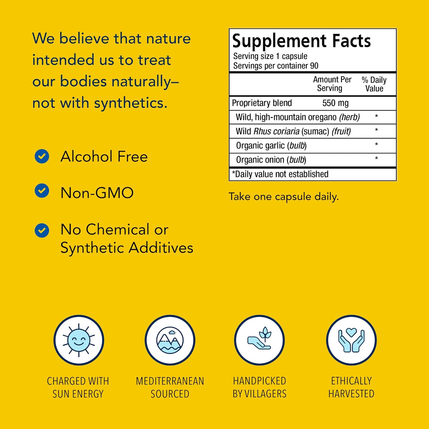 Wild Oregano Supplement Capsules for Digestive & Immune Support - Non-GMO - 90 Servings