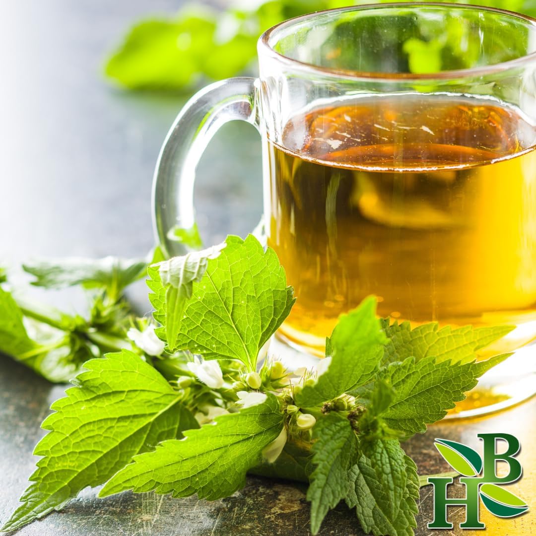 Wildcrafted Nettle Leaf C/S - 4oz | Urtica Dioica Herb for Body