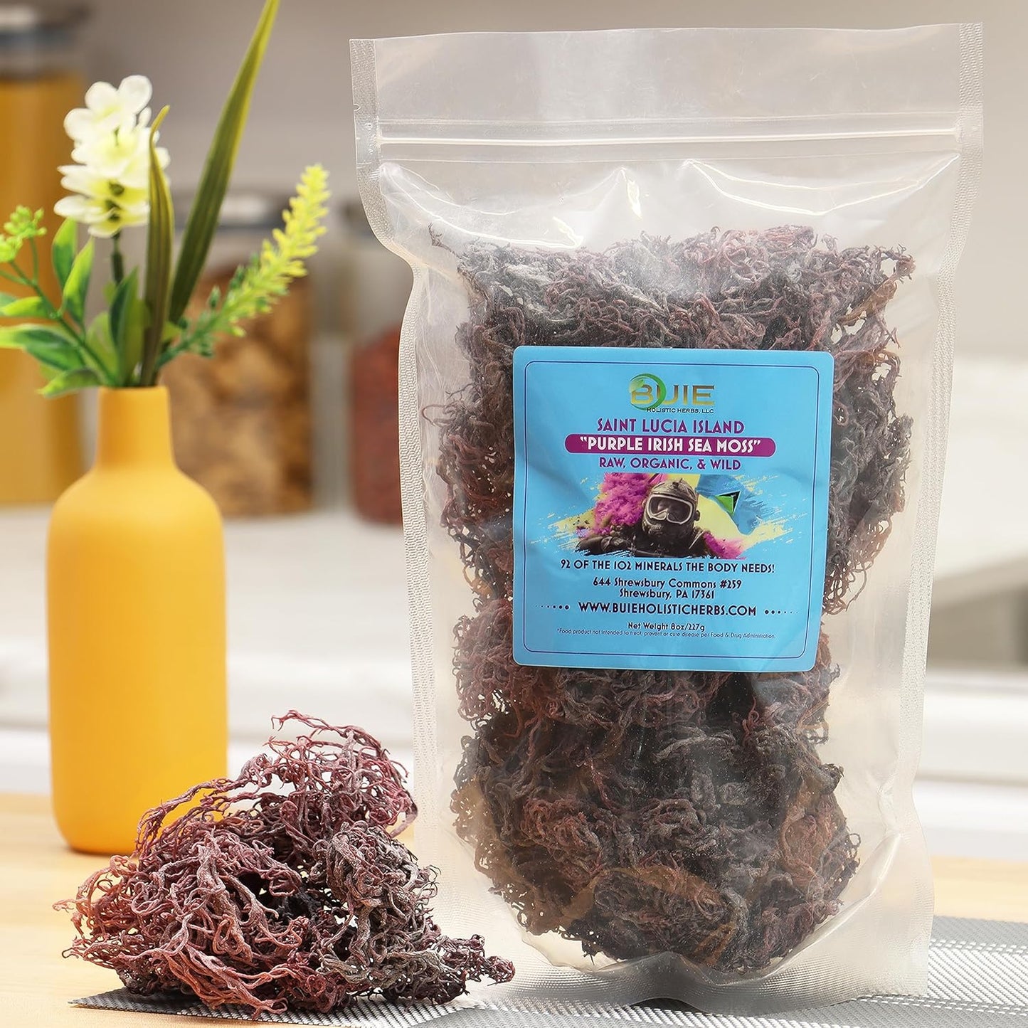 Wildcrafted Purple Irish Sea Moss Gel 240+ oz | Dr. Sebi Inspired Nutrient-Rich Raw Sun-Dried Irish Sea Moss 16 oz for Health & Wellness