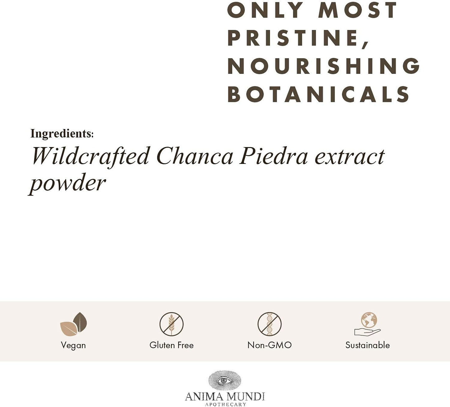 Wildcrafted Stone Breaker Chanca Piedra Powder for Tea - Liver, Gallbladder & Kidney Support - Anima Mundi Apothecary (4oz)