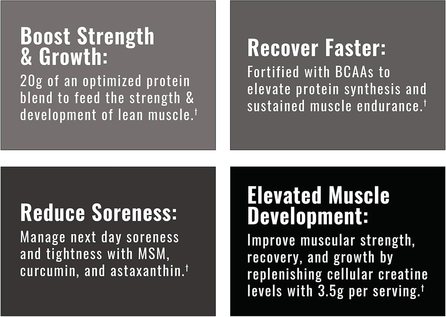 Wilderness Athlete Brute Strength BCAA Creatine Powder - Premium Post Workout Recovery Drink (Apple Pie)