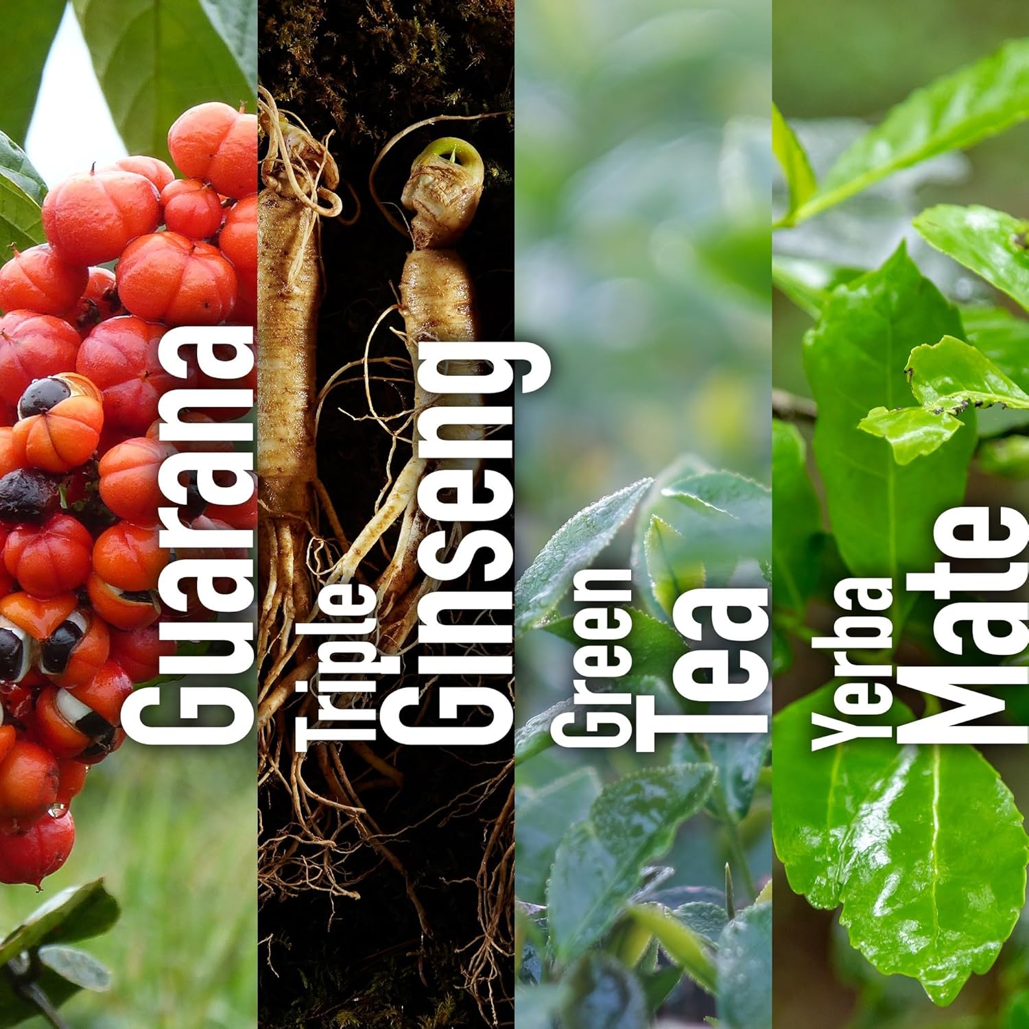 Windmill Consumer Products Hi-EnerG Triple Ginseng Energy Supplement - 500mg, 20 Capsules